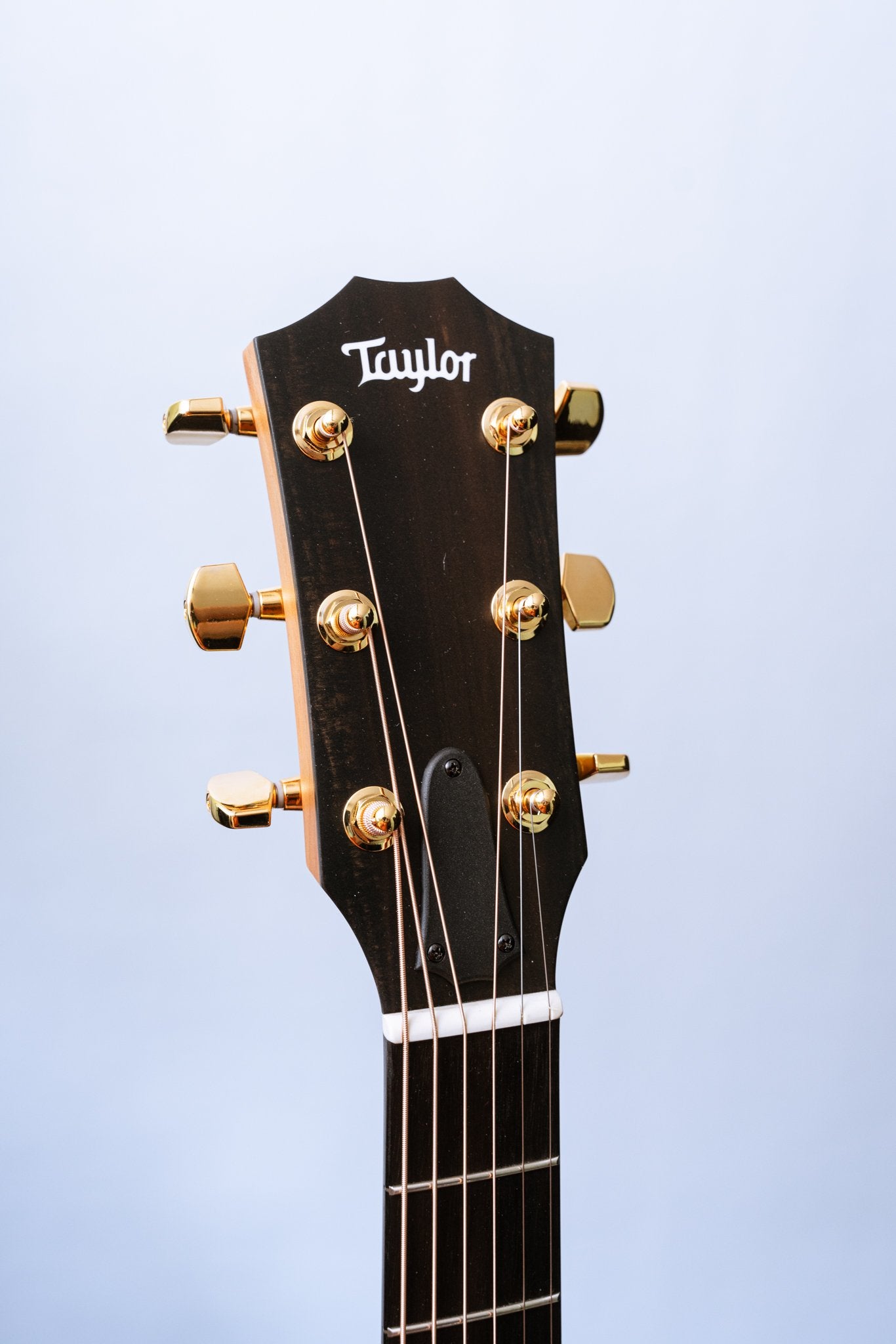 Taylor 217e SB Plus LTD