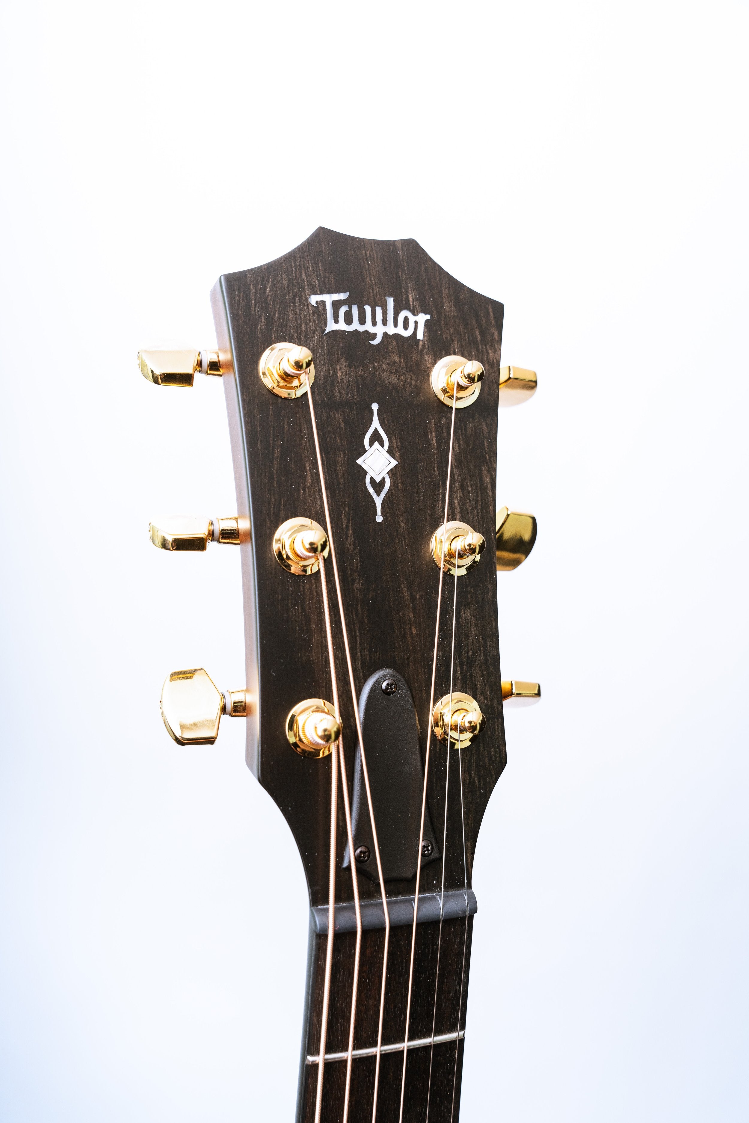 Taylor 50th Anniversary 312ce LTD Sapele