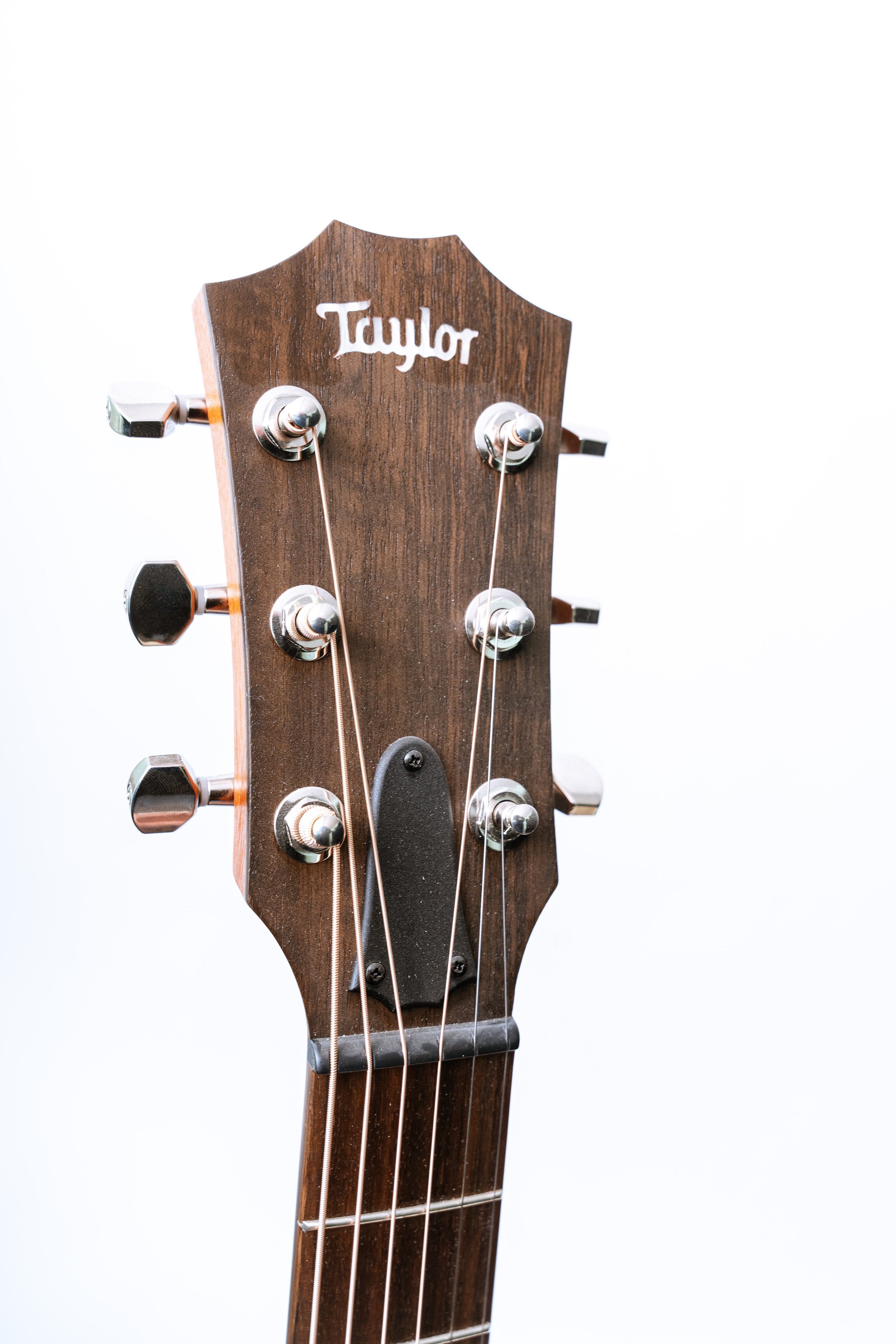 Taylor GT Urban Ash