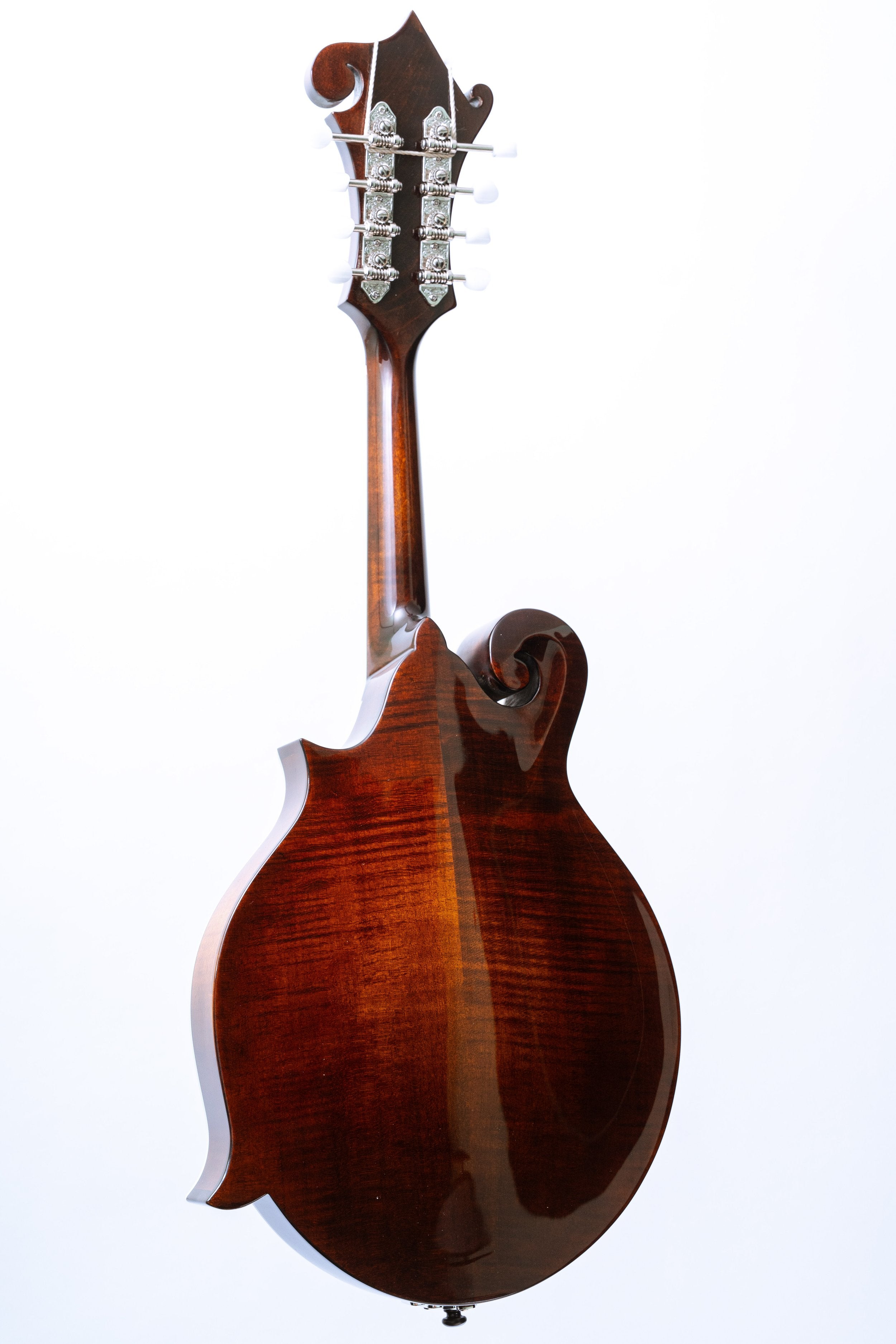 Eastman MD514 LTD in Black