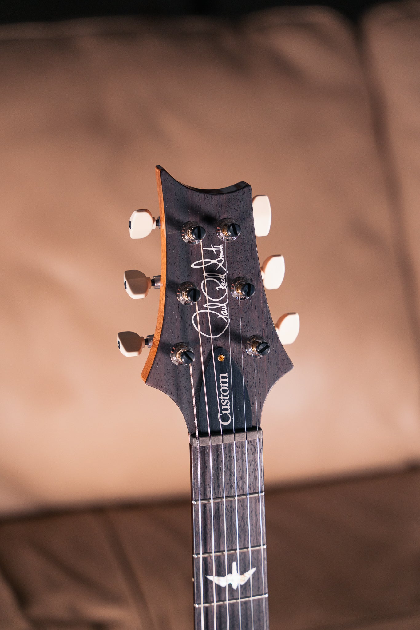 PRS Custom 24-08 10-Top in Aurora Borealis