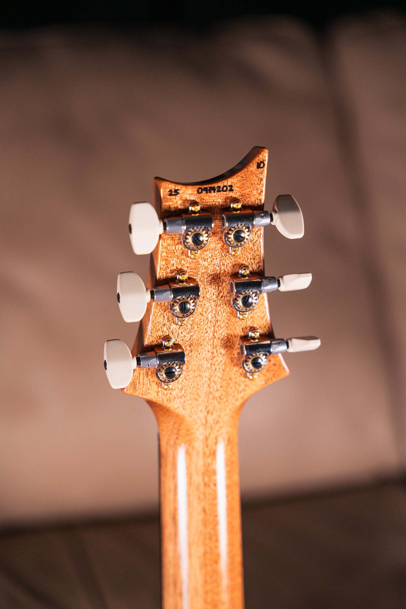 PRS Custom 24-08 10-Top in Aurora Borealis