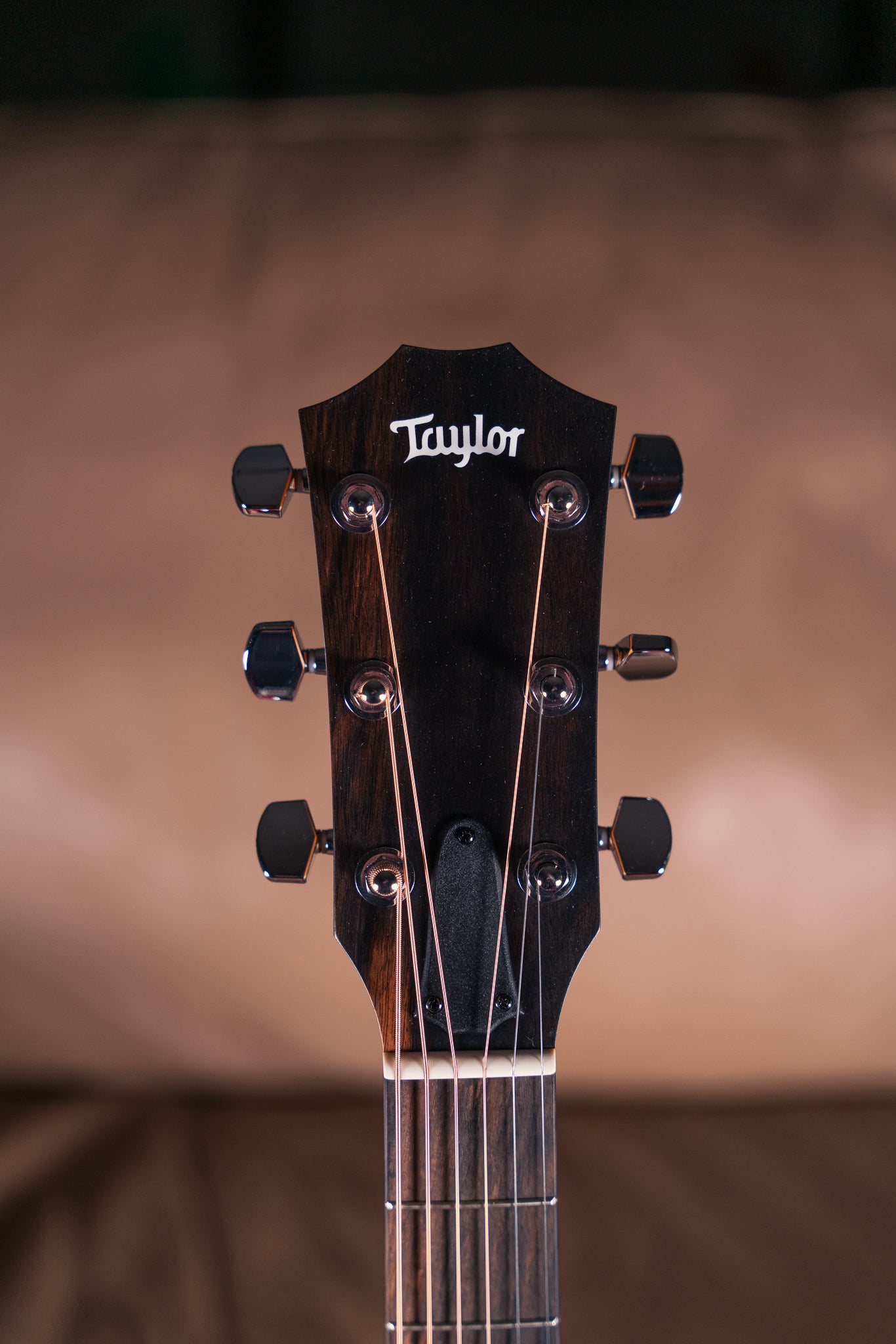 Taylor 214ce