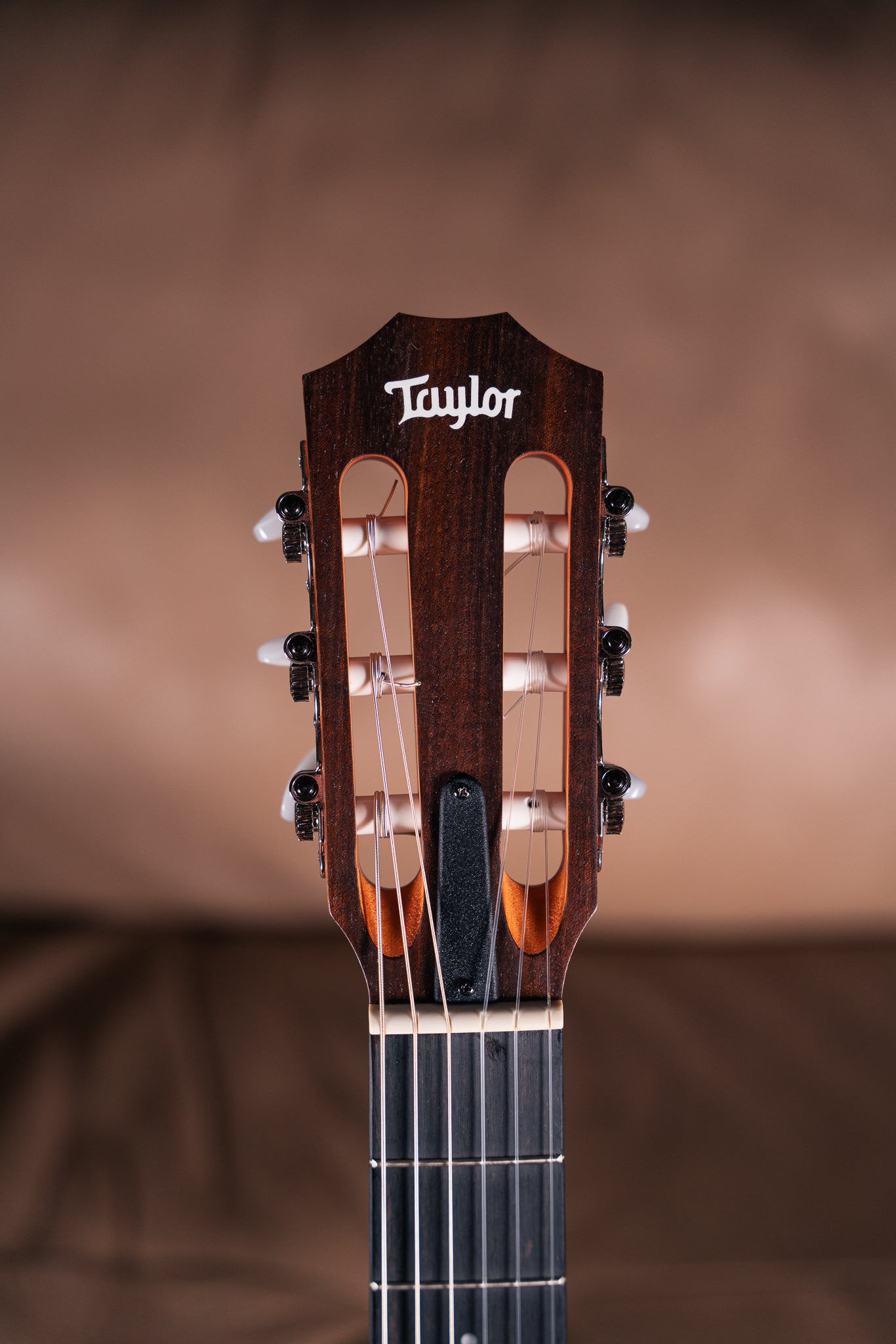 Taylor Academy 12e-N