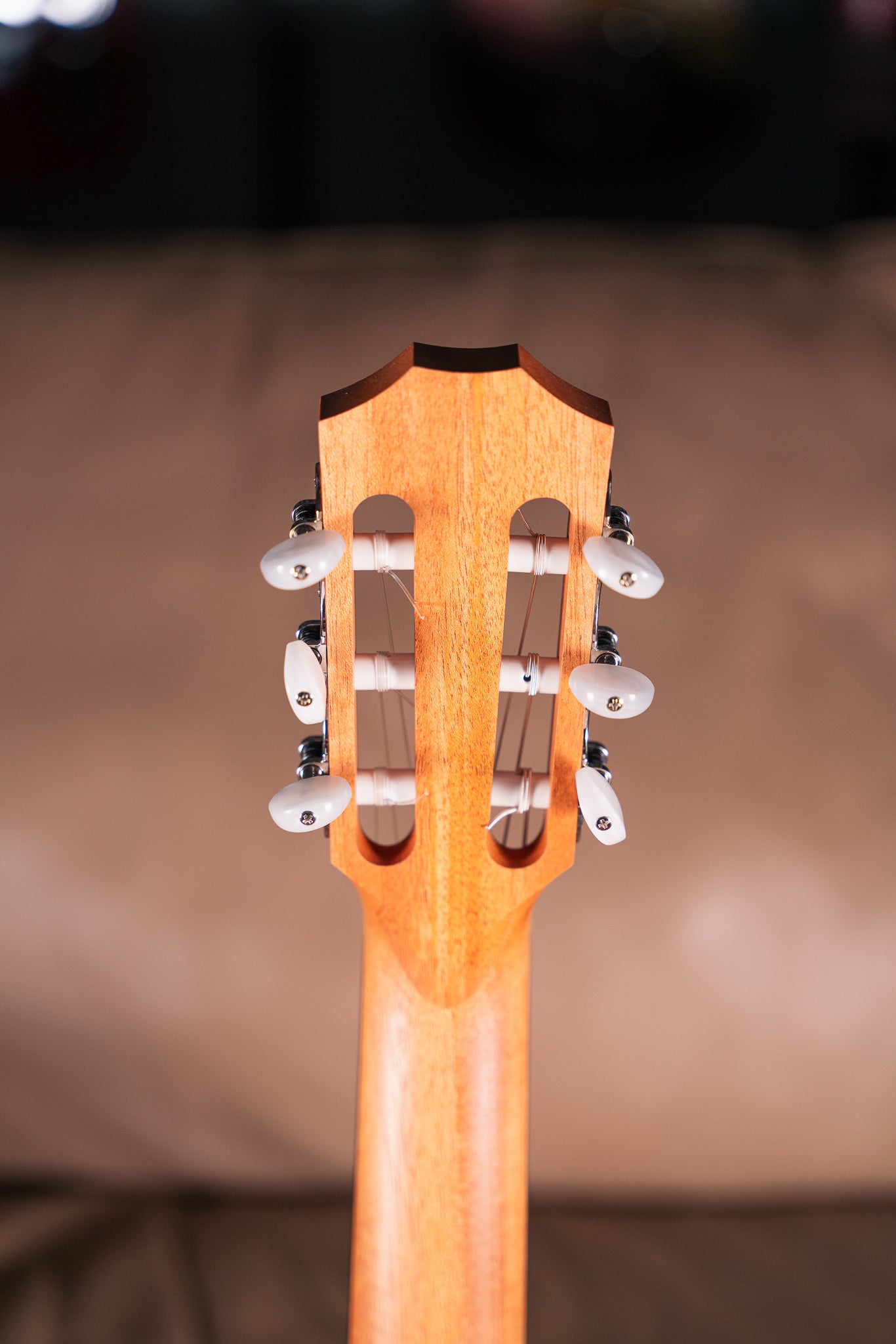 Taylor Academy 12e-N