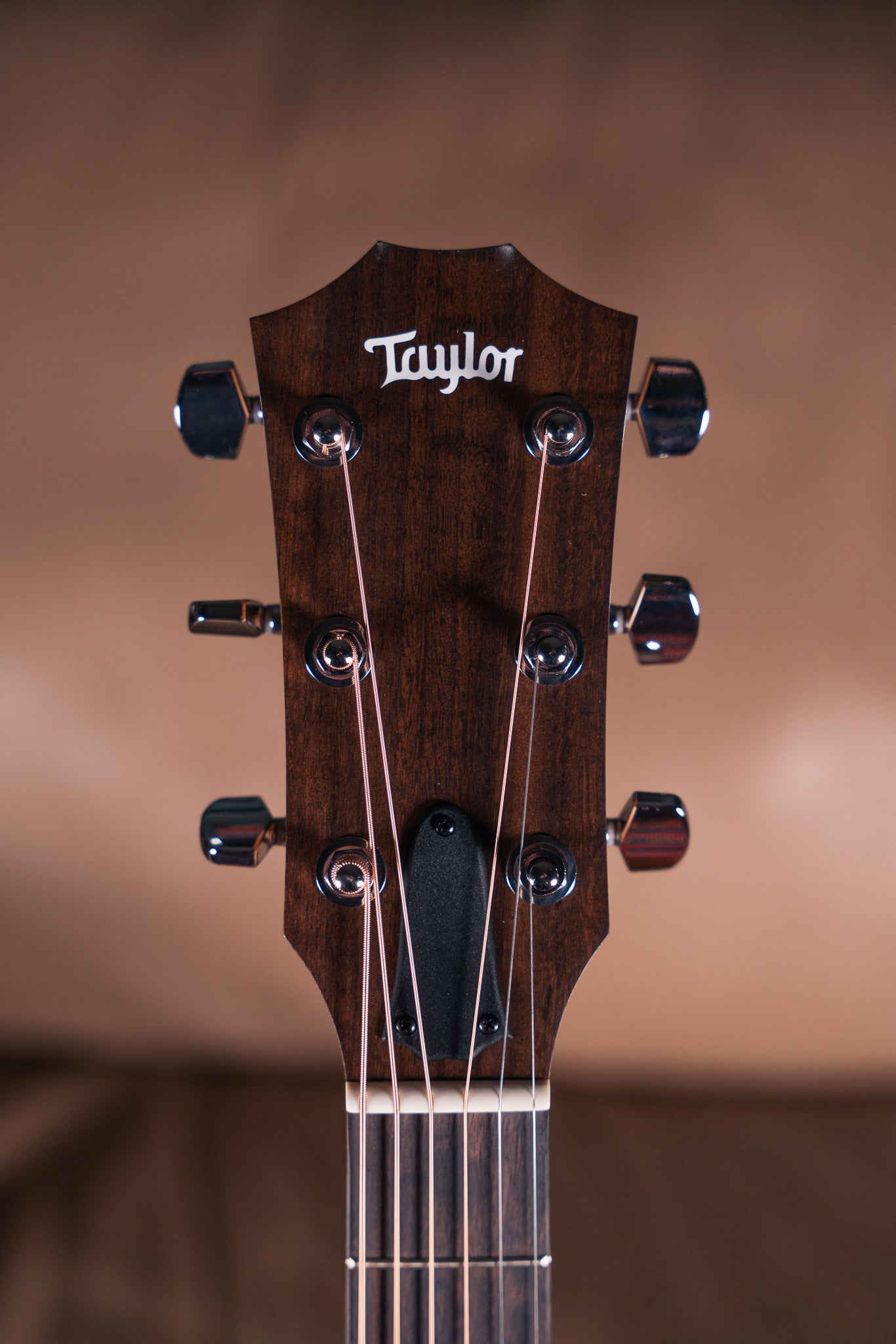 Taylor 114ce