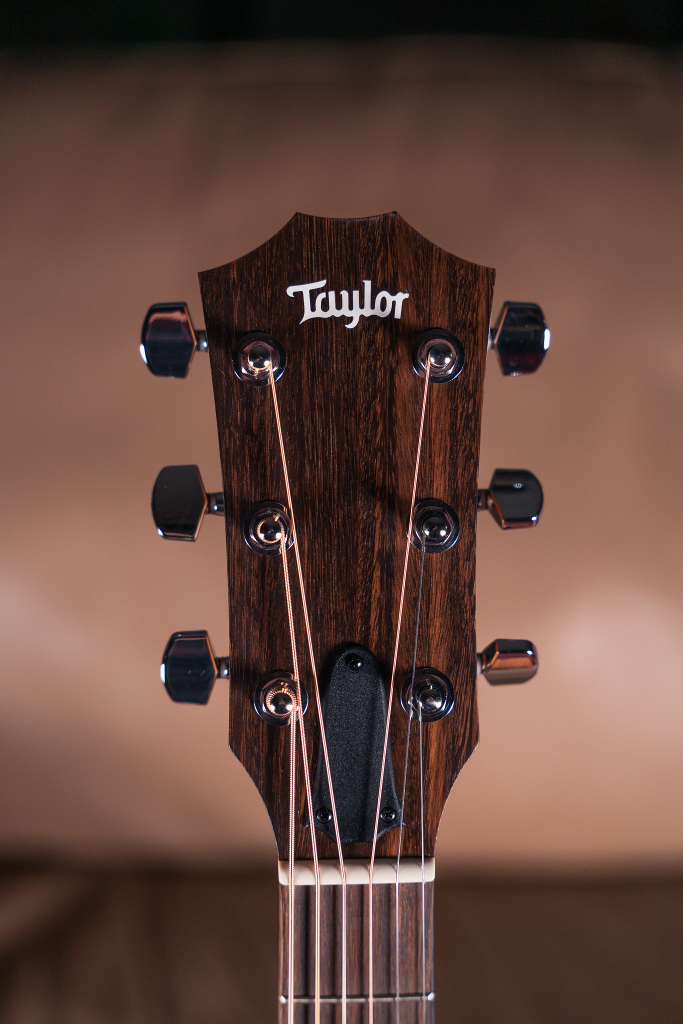 Taylor 110ce