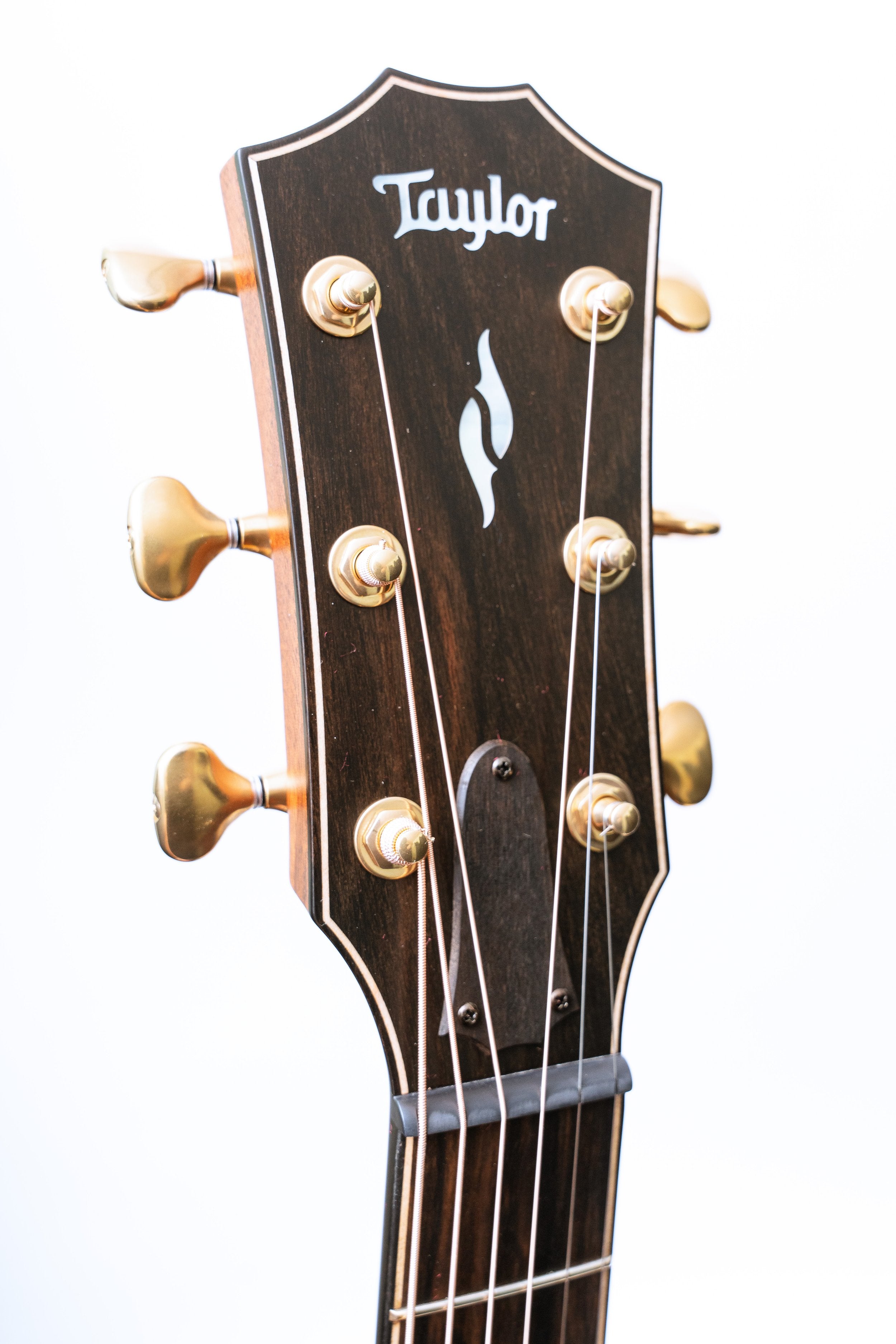 Taylor 814ce Builder's Edition