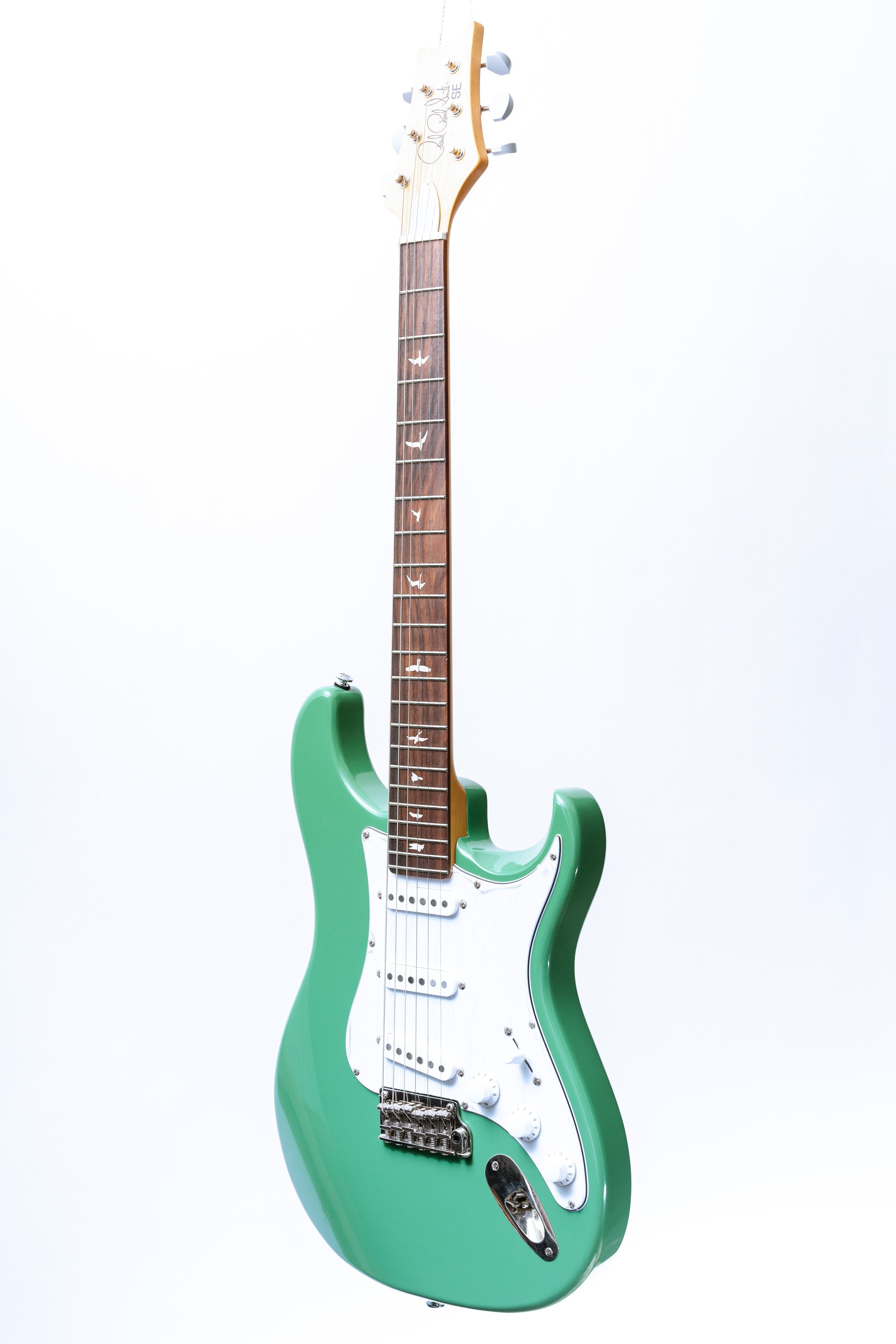 PRS SE Silver Sky in Evergreen