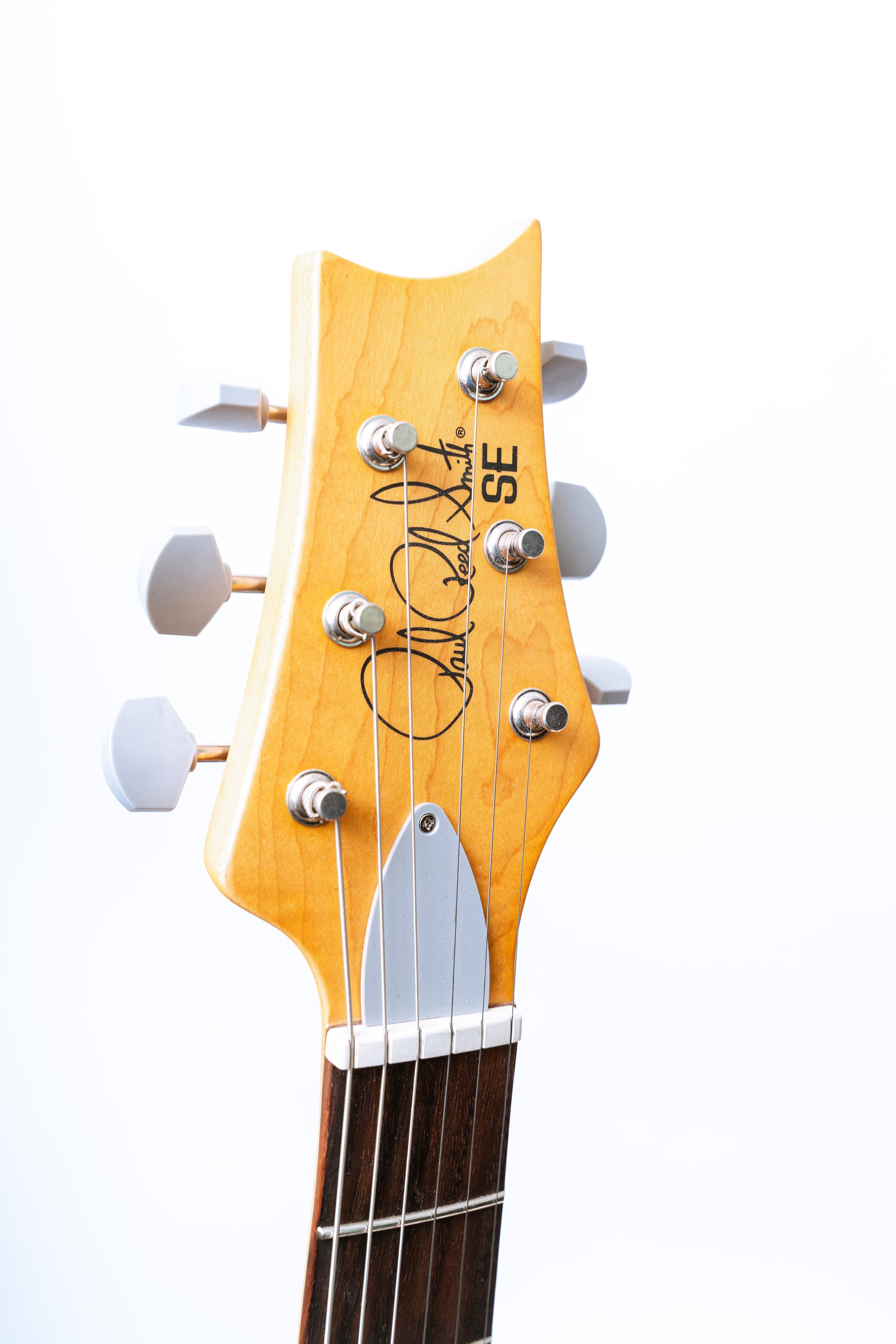 PRS SE Silver Sky in Evergreen