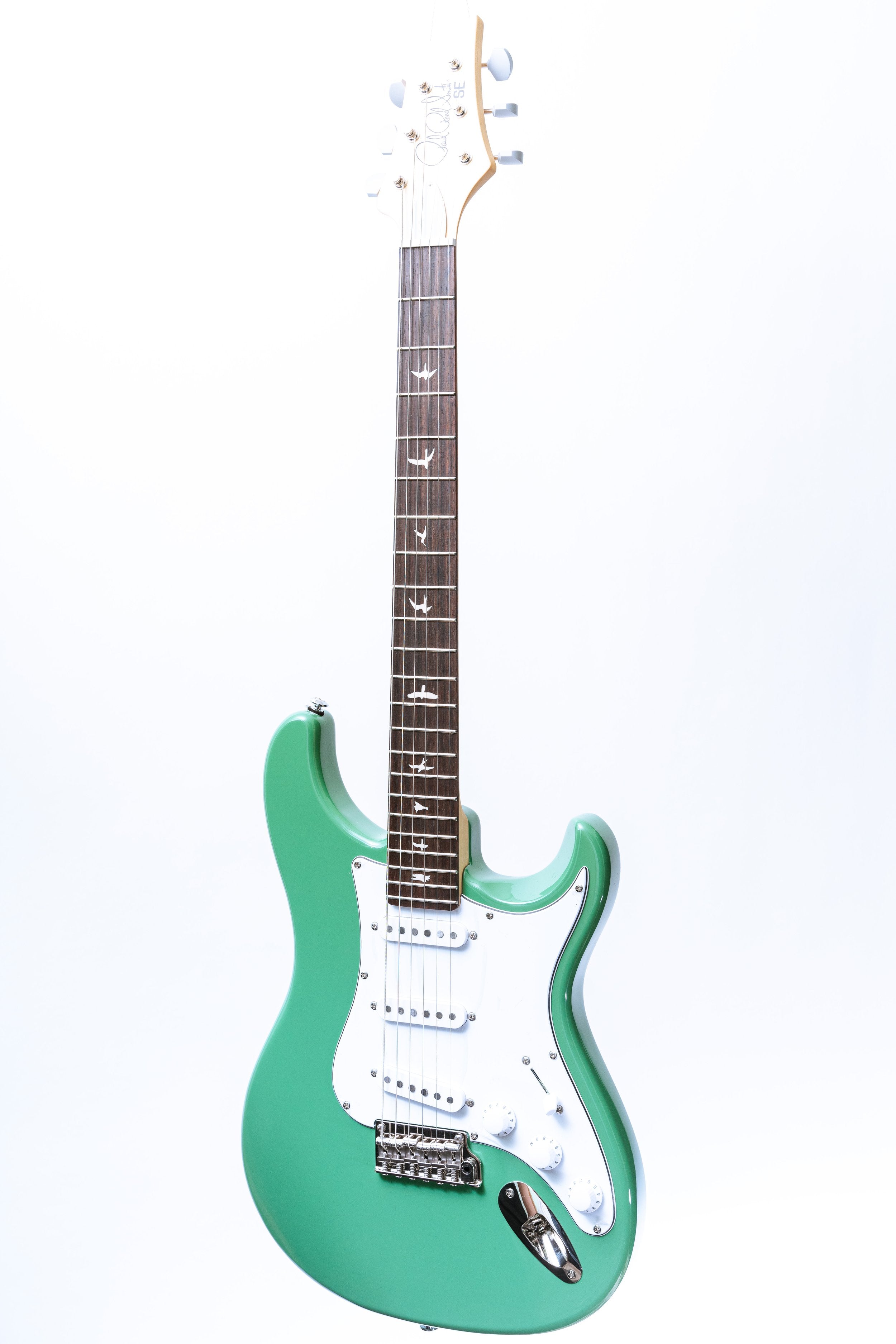 PRS SE Silver Sky in Evergreen
