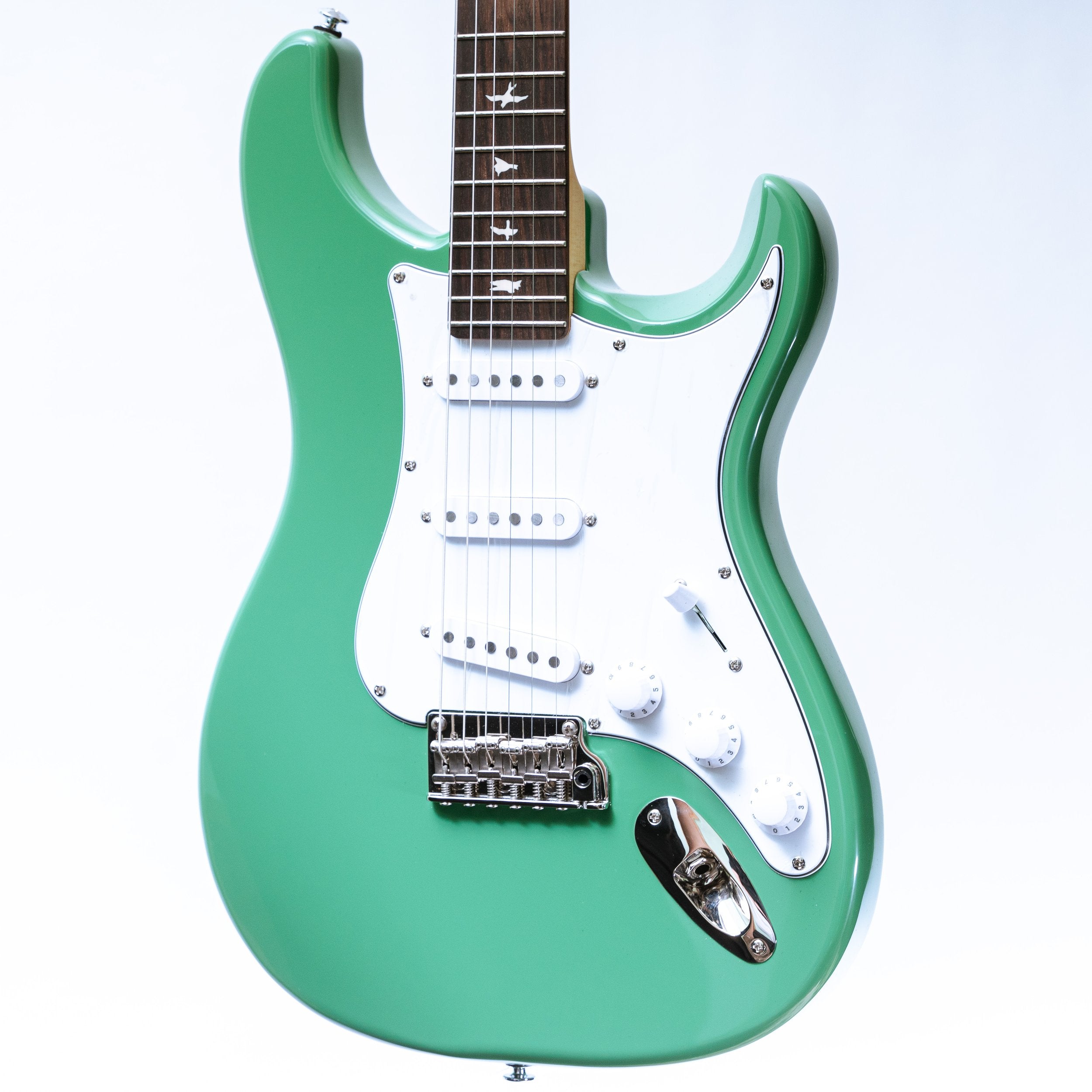 PRS SE Silver Sky in Evergreen