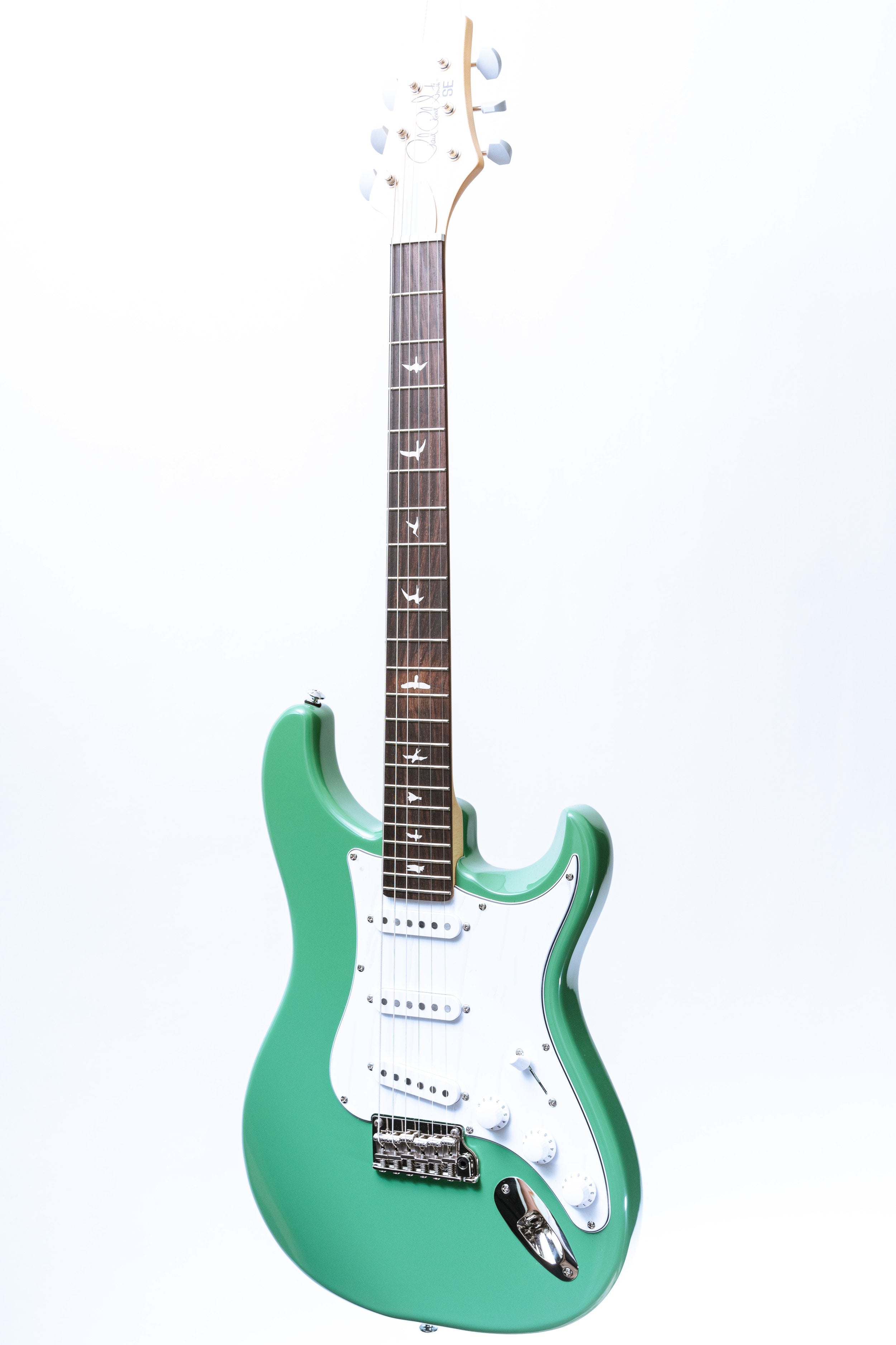 PRS SE Silver Sky in Evergreen