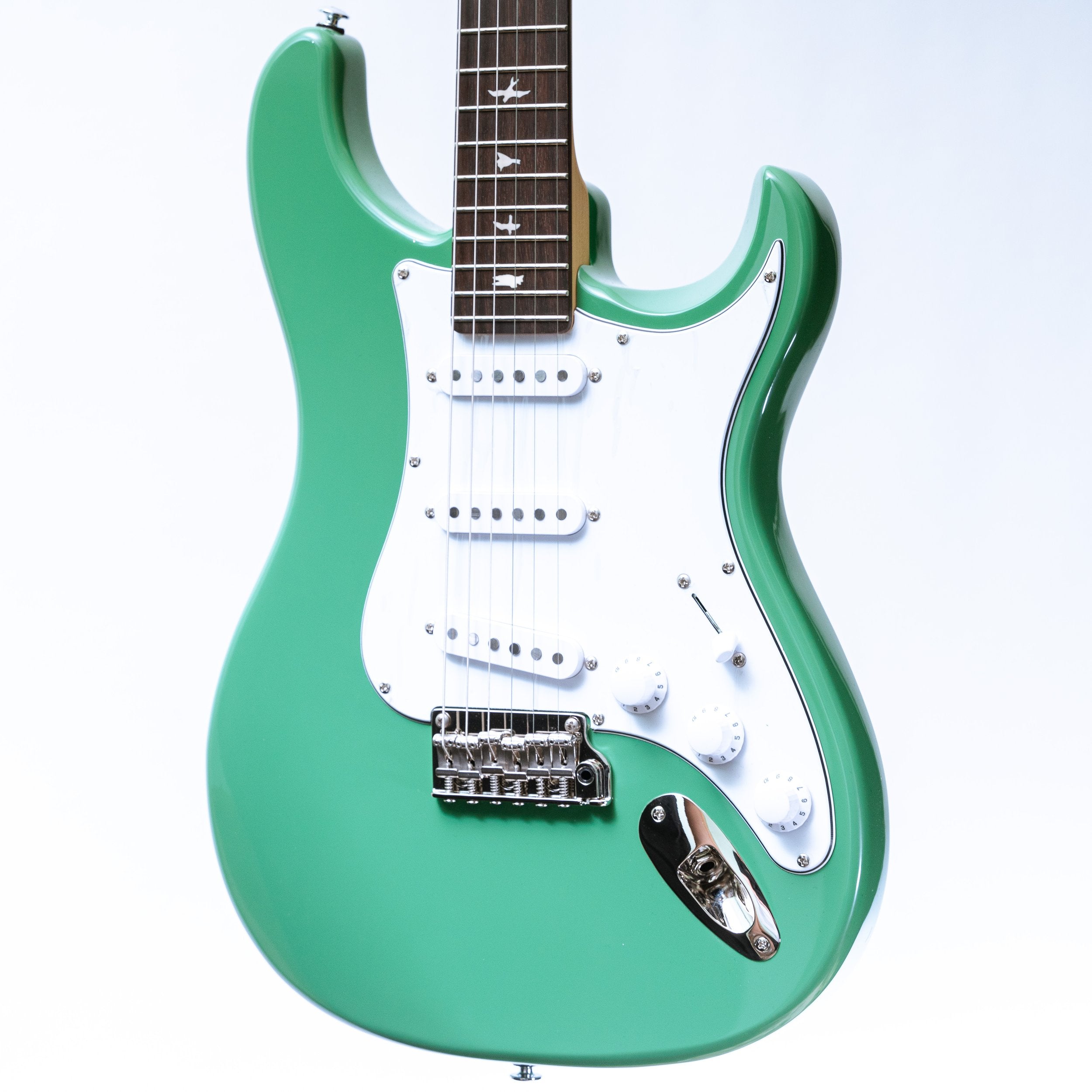 PRS SE Silver Sky in Evergreen