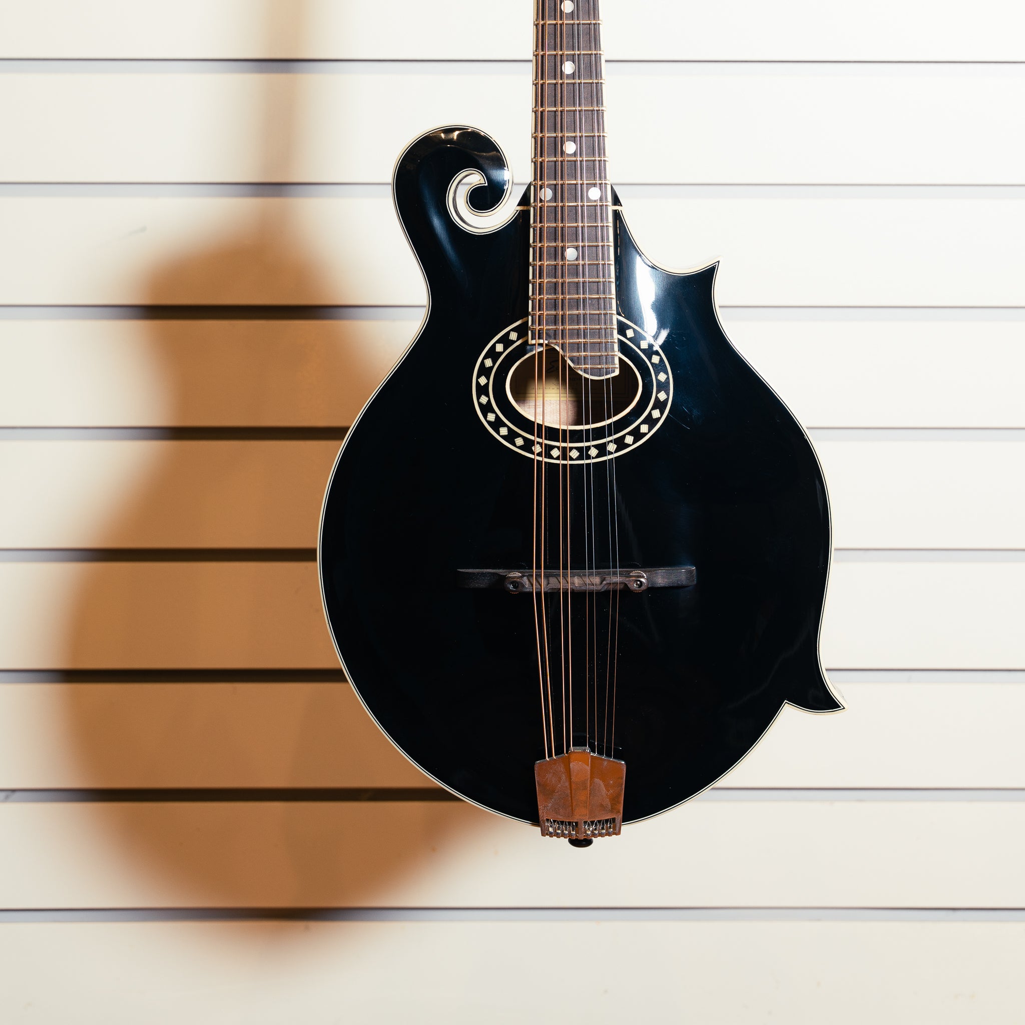 Eastman MD514 LTD in Black