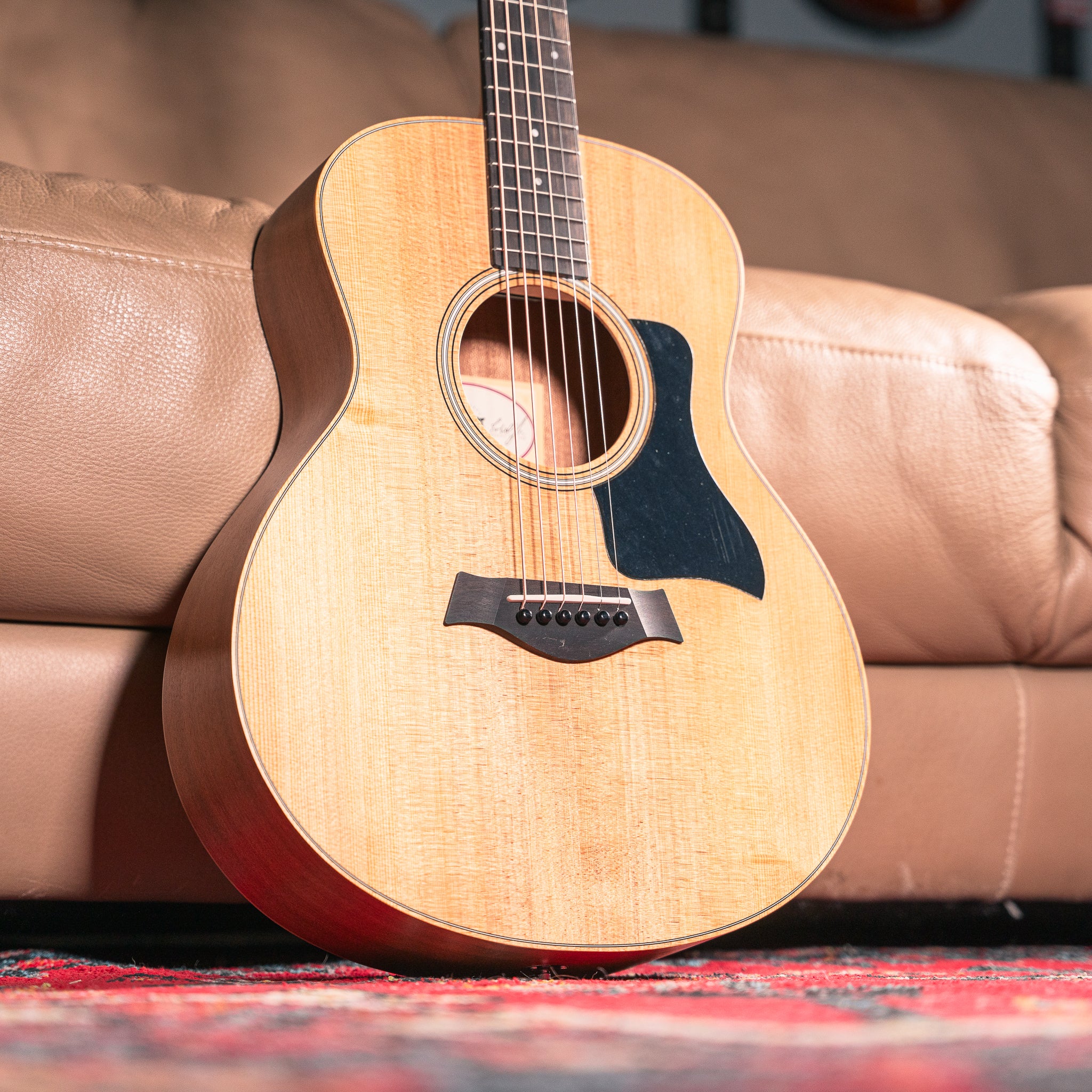 Taylor GS Mini