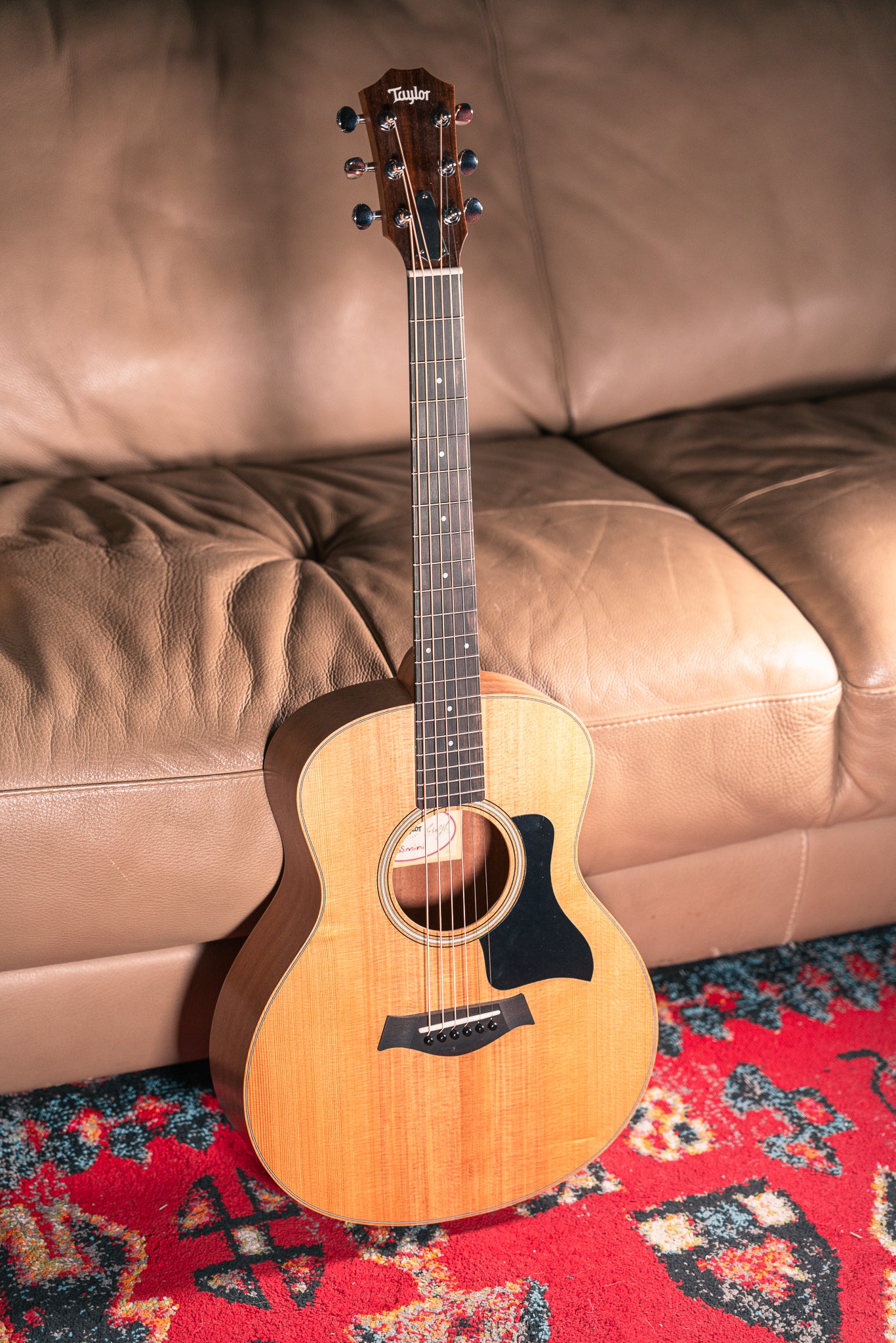 Taylor GS Mini