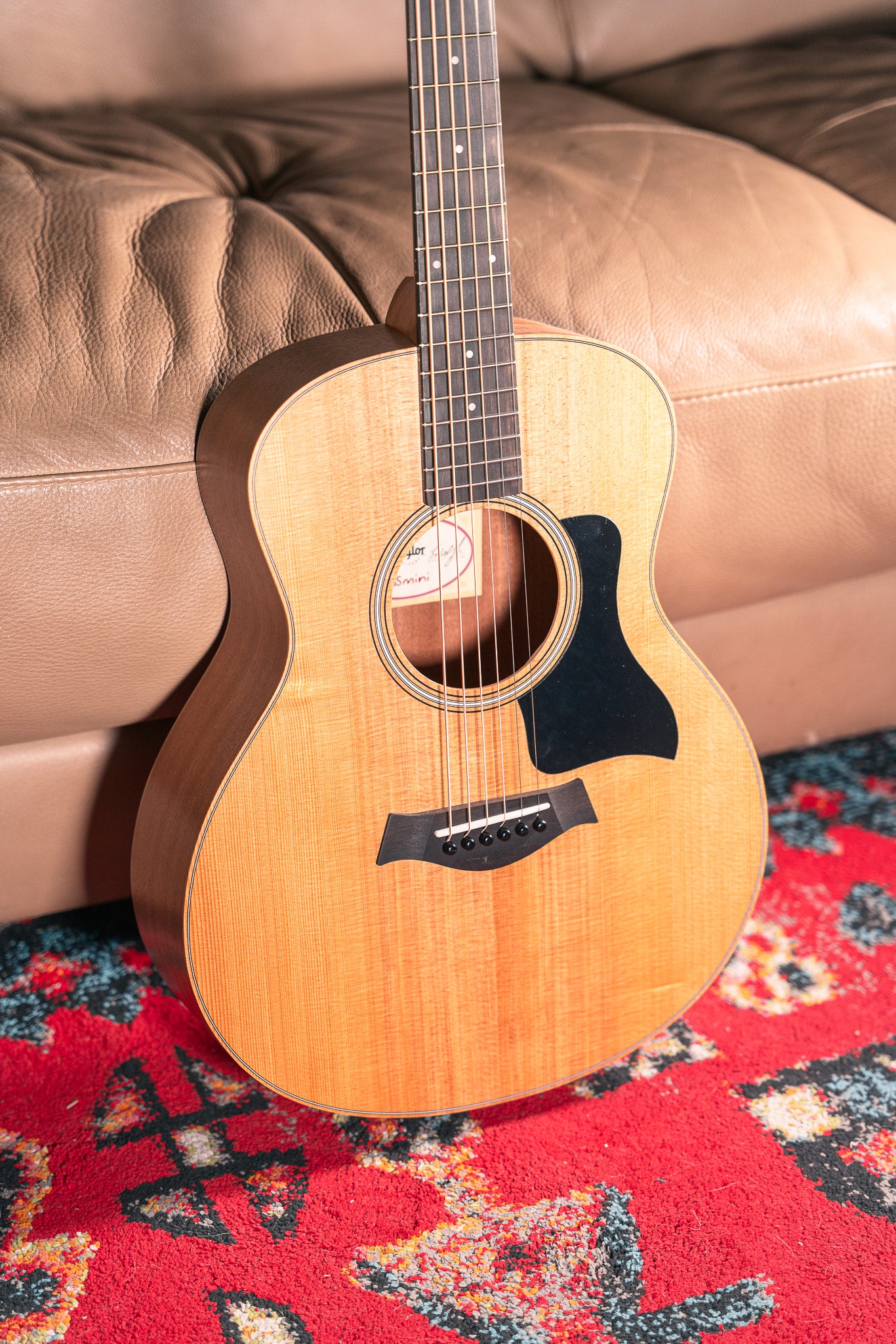 Taylor GS Mini