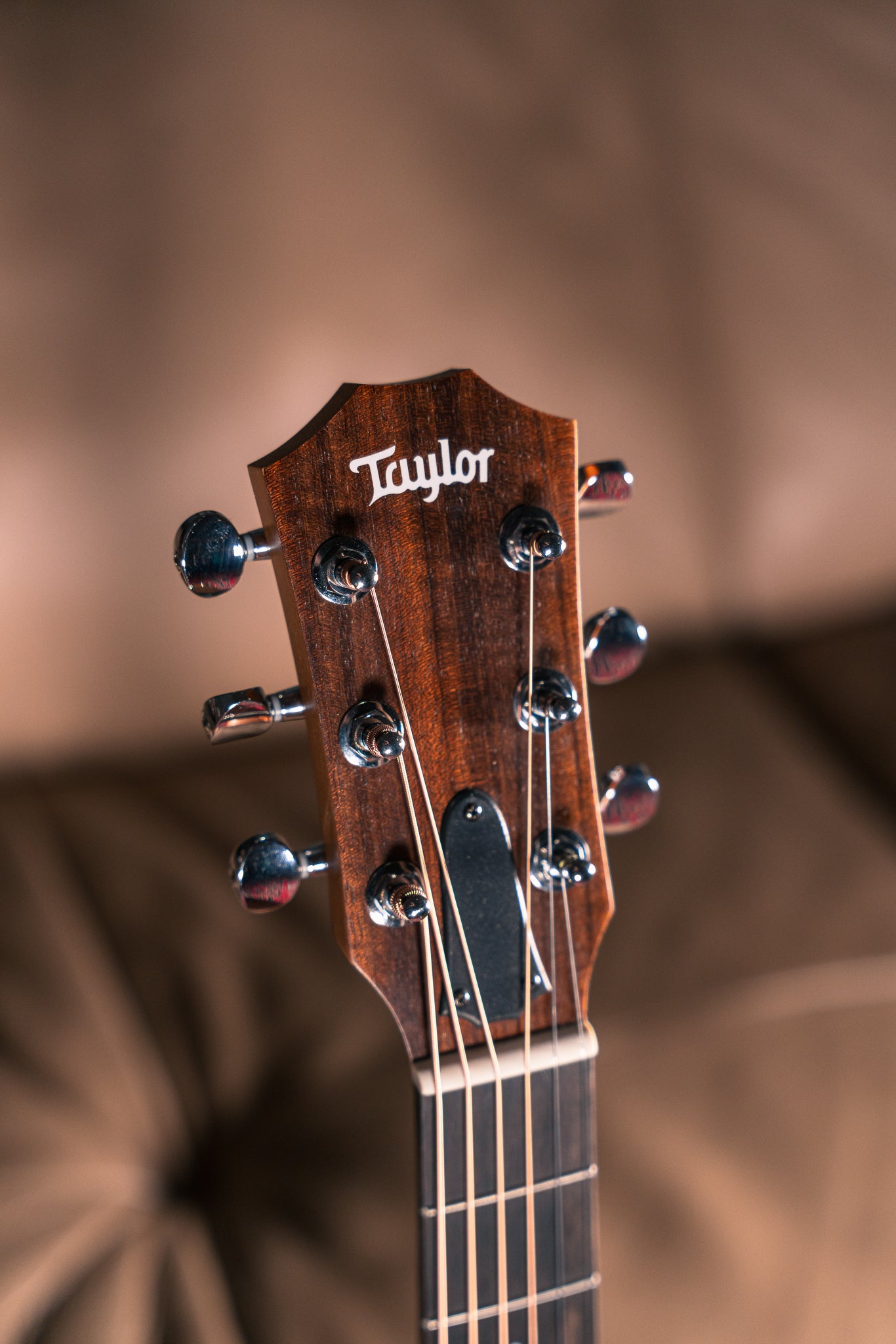 Taylor GS Mini