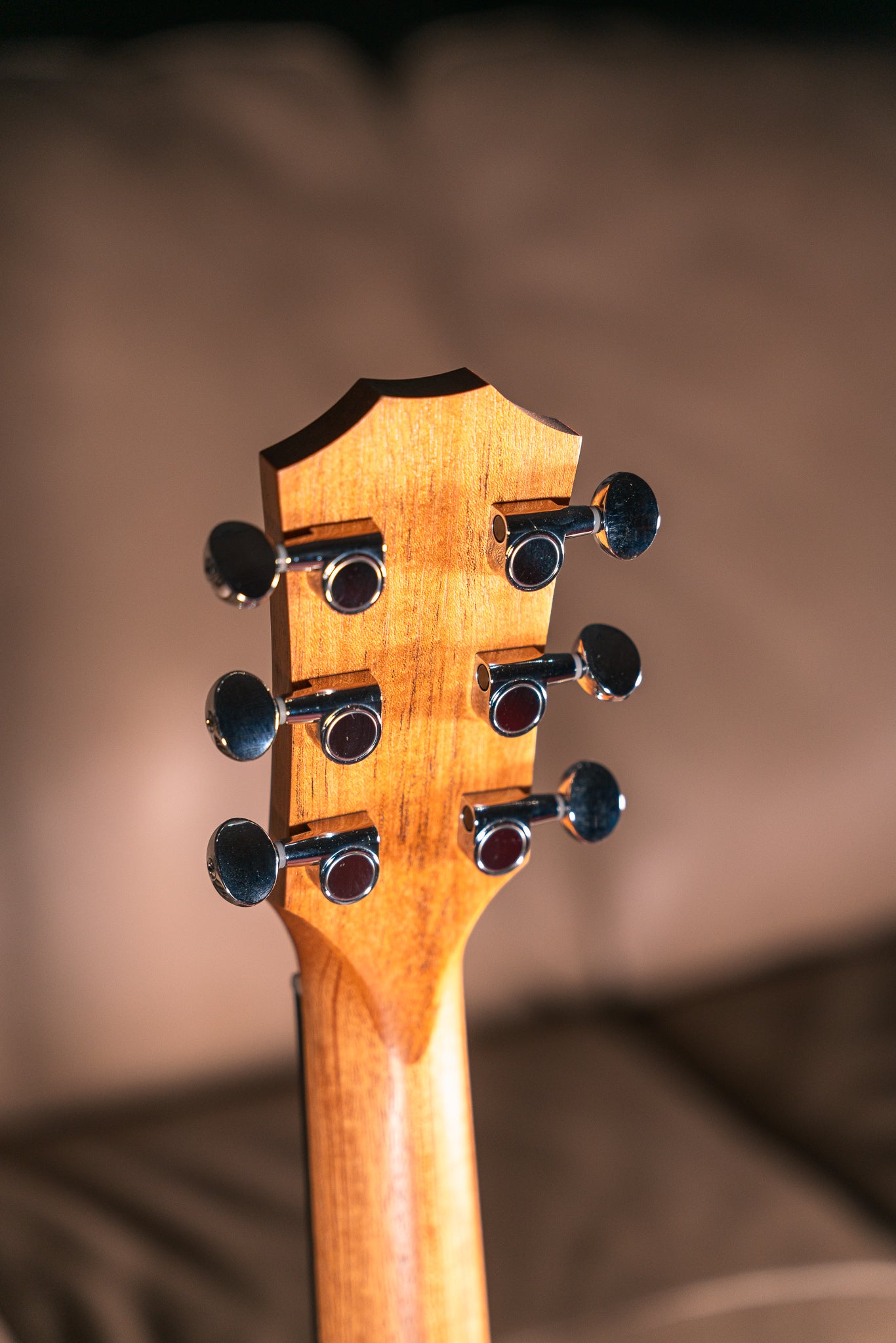 Taylor GS Mini