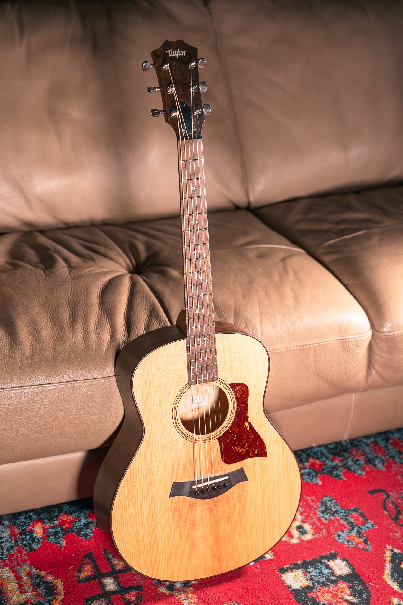 Taylor GT Urban Ash