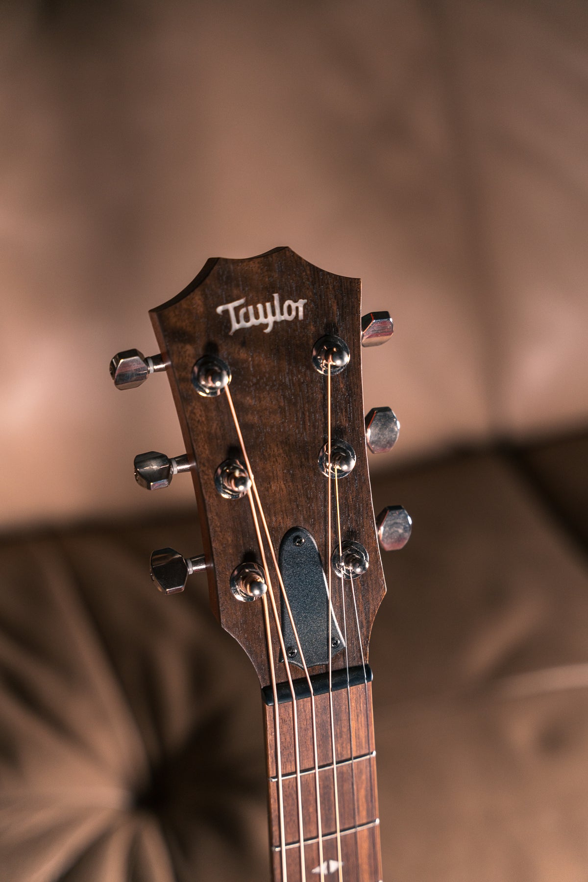 Taylor GT Urban Ash