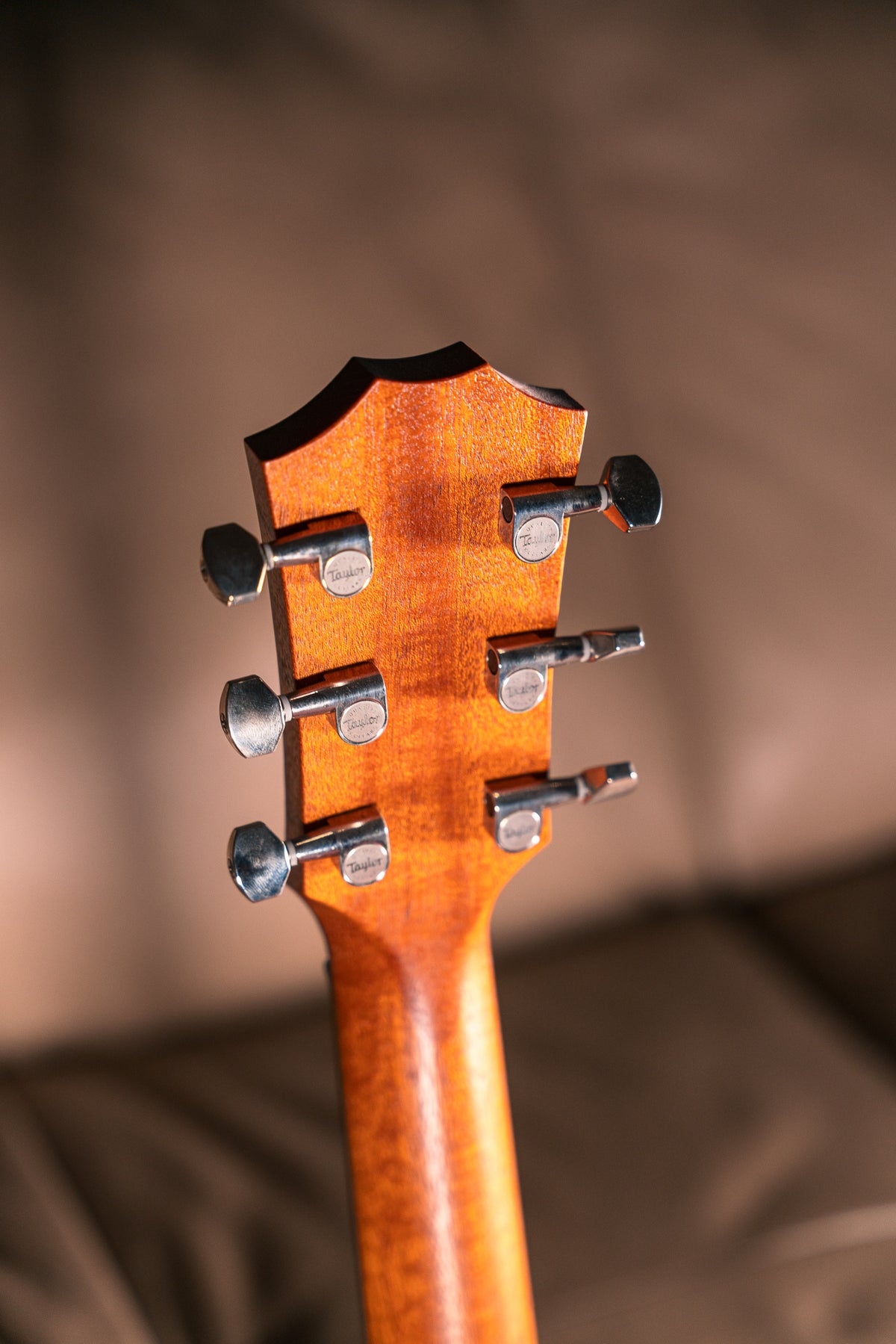 Taylor GT Urban Ash