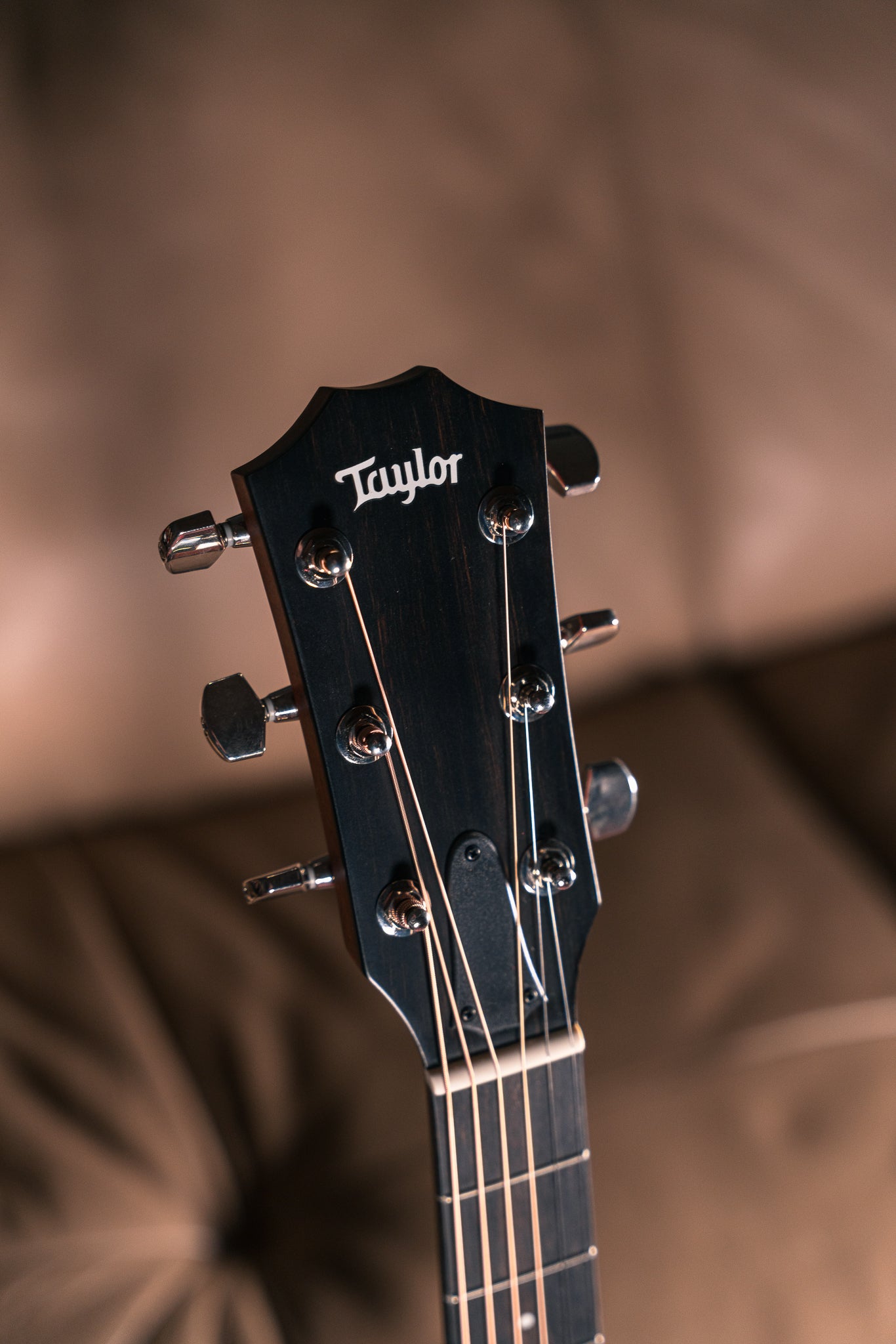 Taylor 414ce Studio