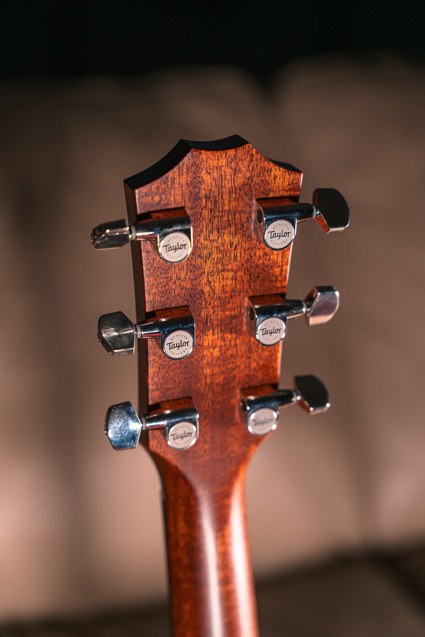 Taylor 414ce Studio