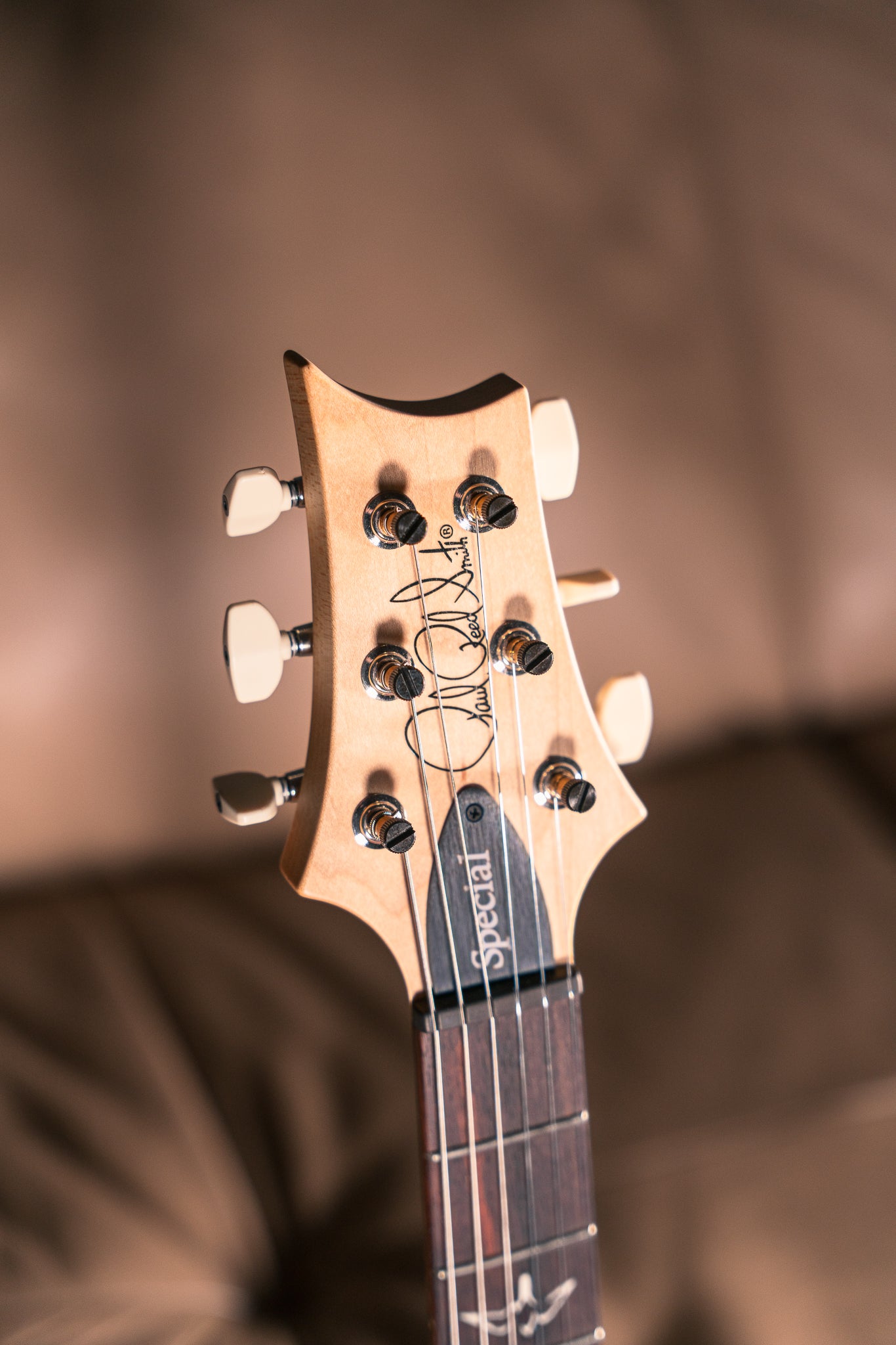 PRS Swamp Ash Special in Black Doghair Smokeburst
