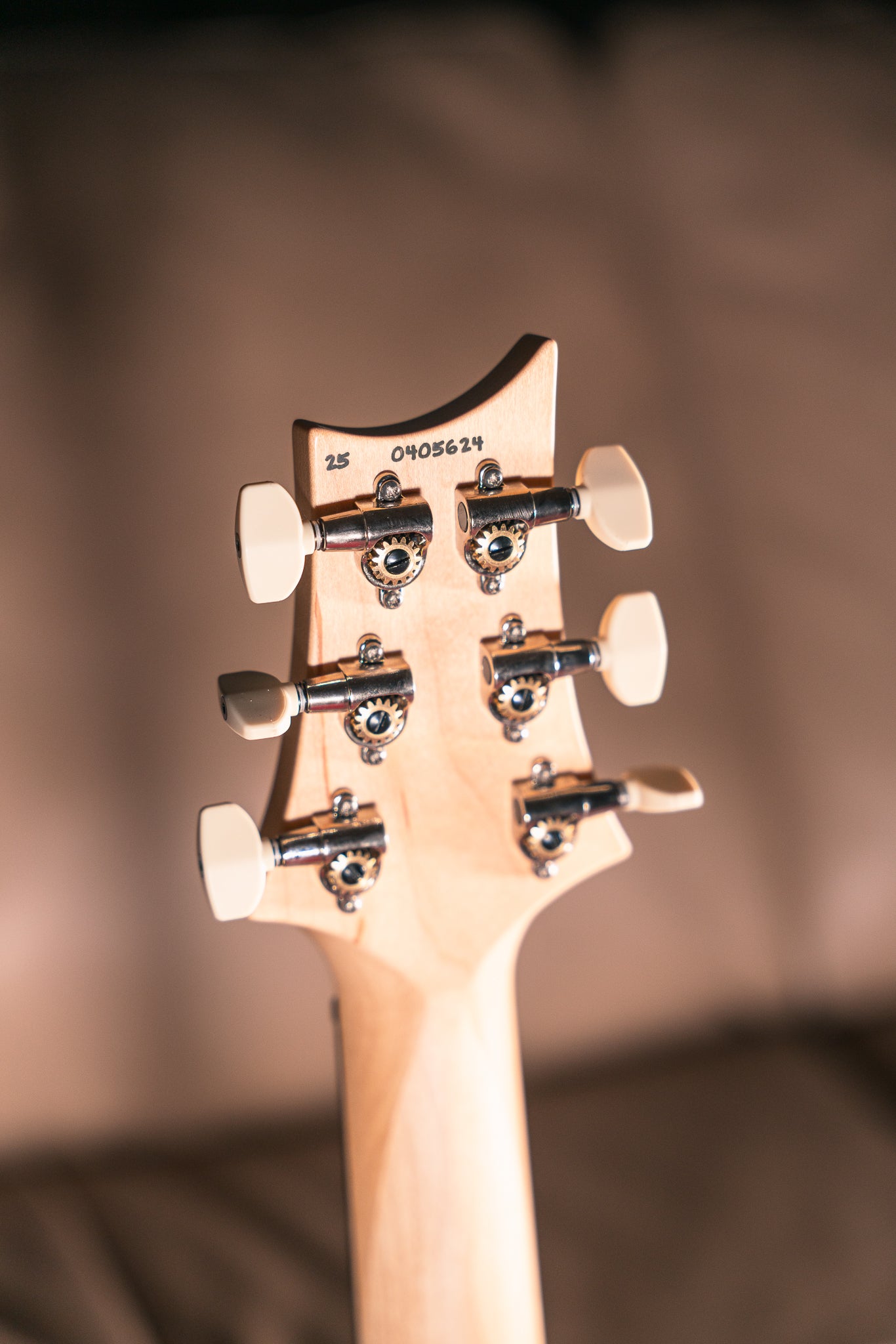 PRS Swamp Ash Special in Black Doghair Smokeburst