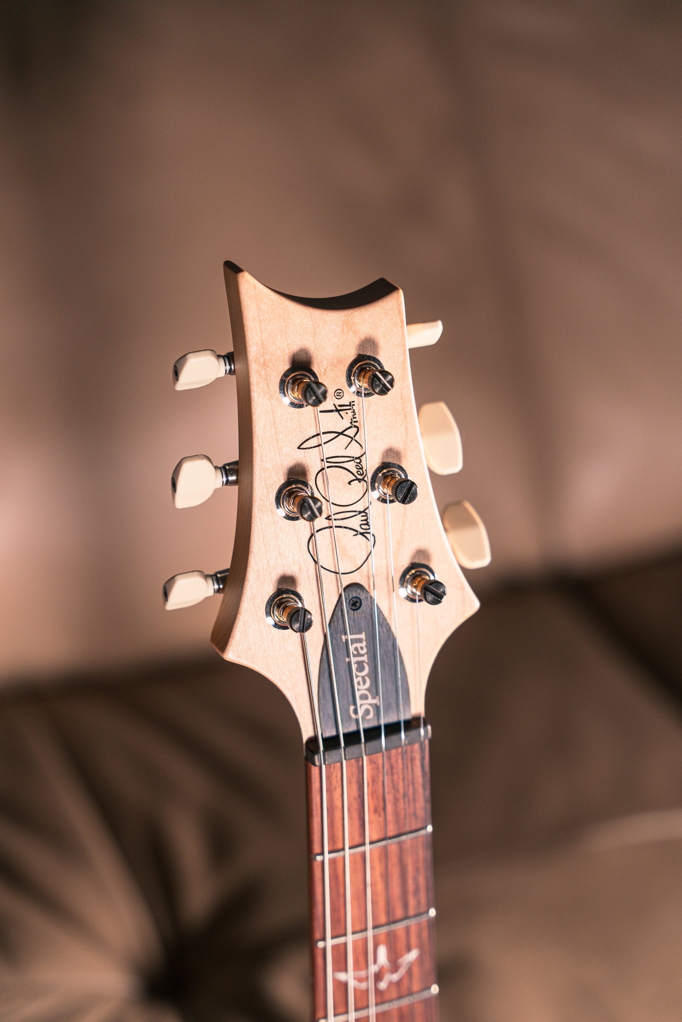 PRS Swamp Ash Special in Black Doghair Smokeburst