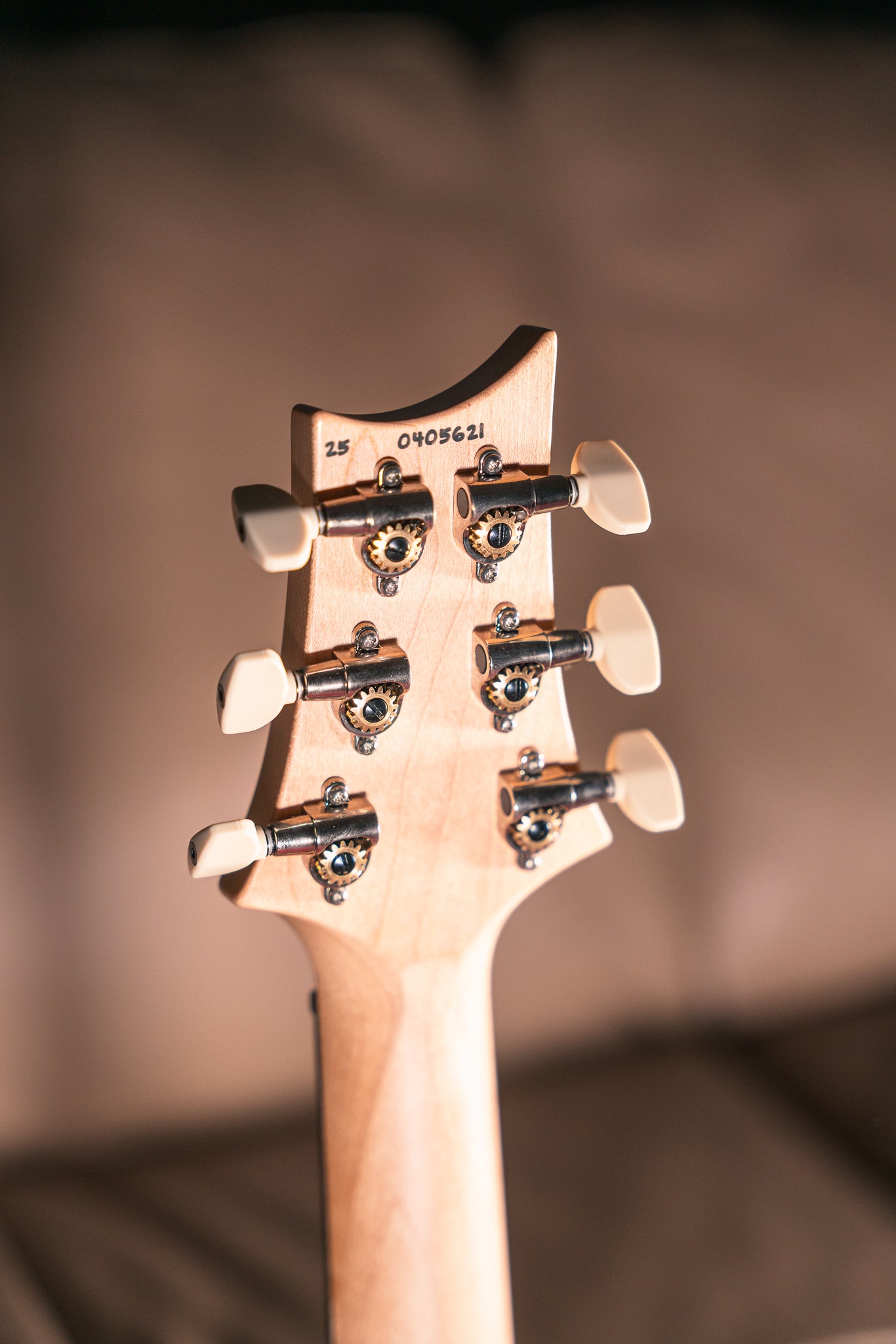 PRS Swamp Ash Special in Black Doghair Smokeburst