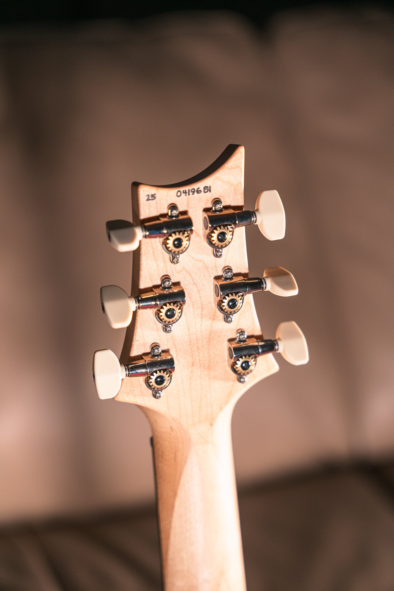 PRS CE 24 Special in Faded Gray Black