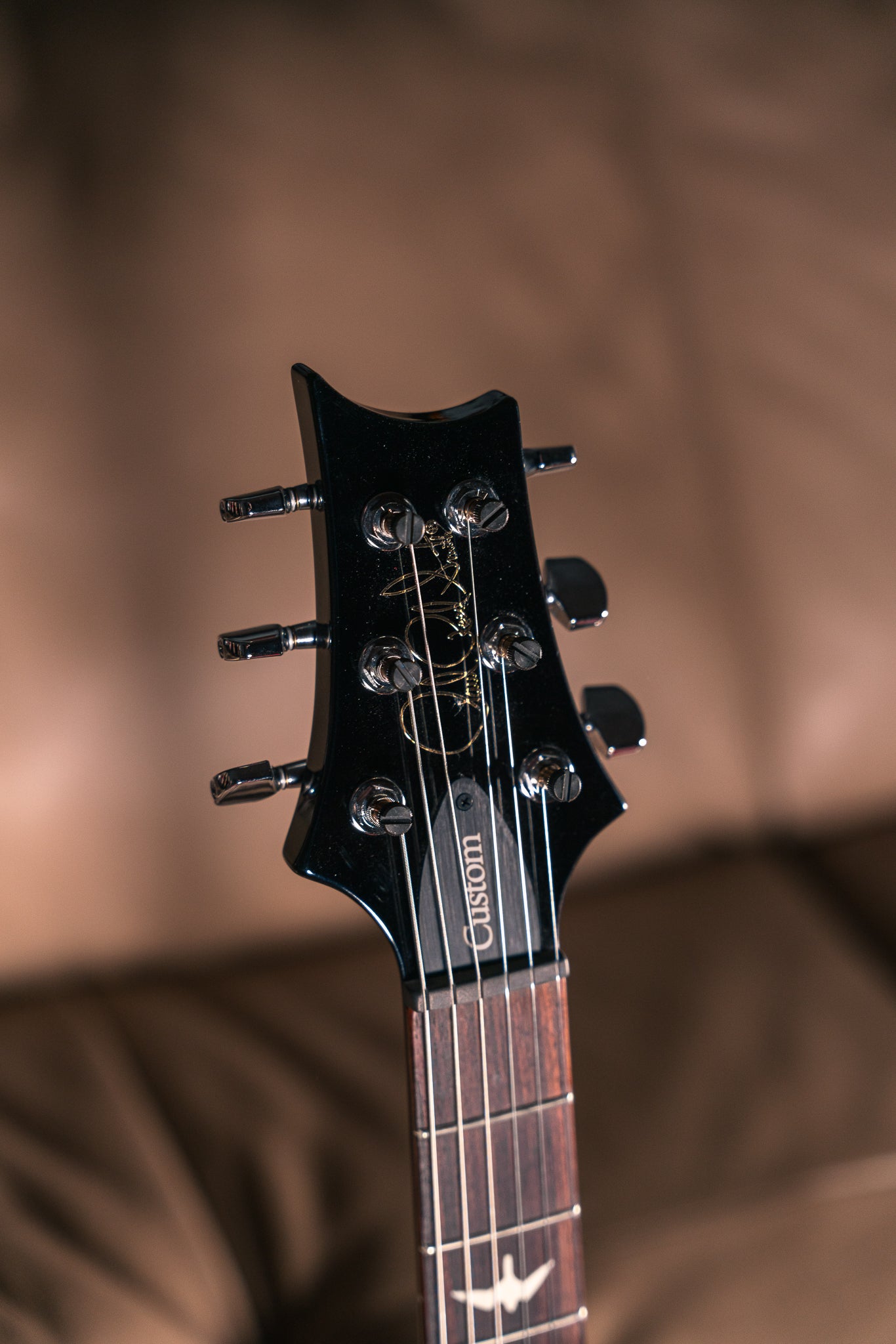 PRS S2 Custom 24 in Eriza Verde Smokewrap Burst
