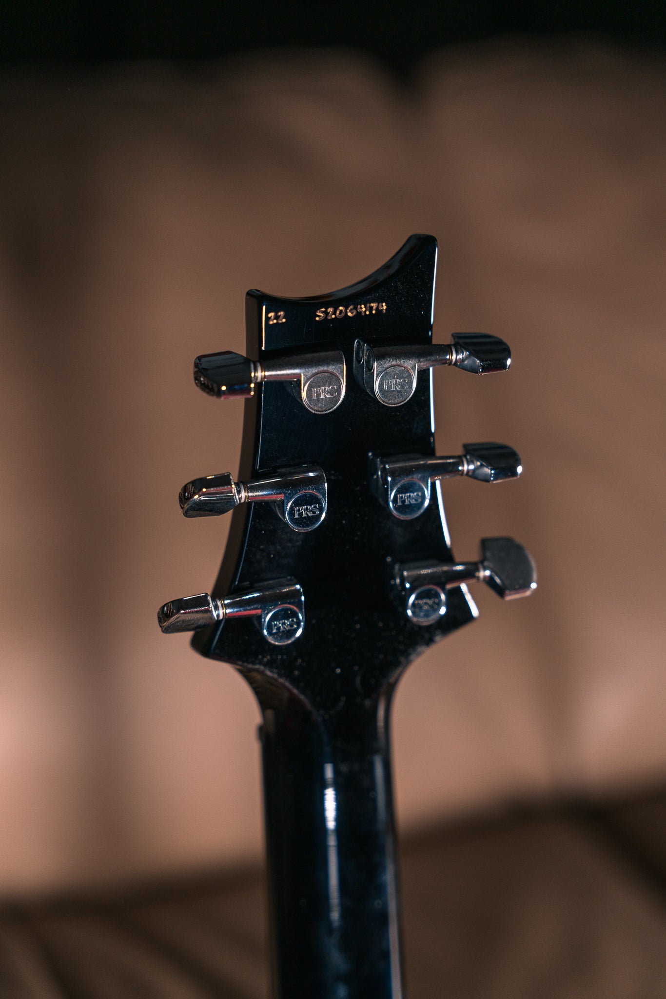 PRS S2 Custom 24 in Eriza Verde Smokewrap Burst