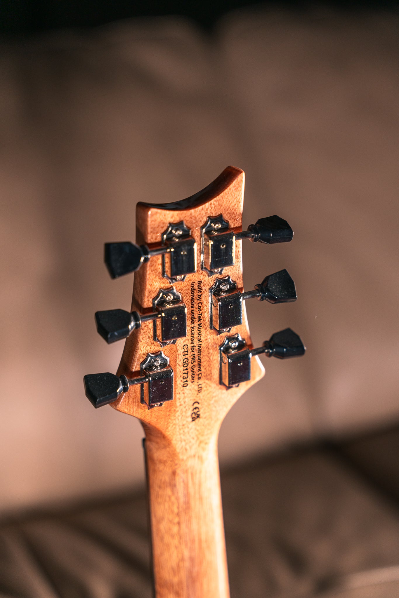 PRS SE Paul's Guitar in Turqouise