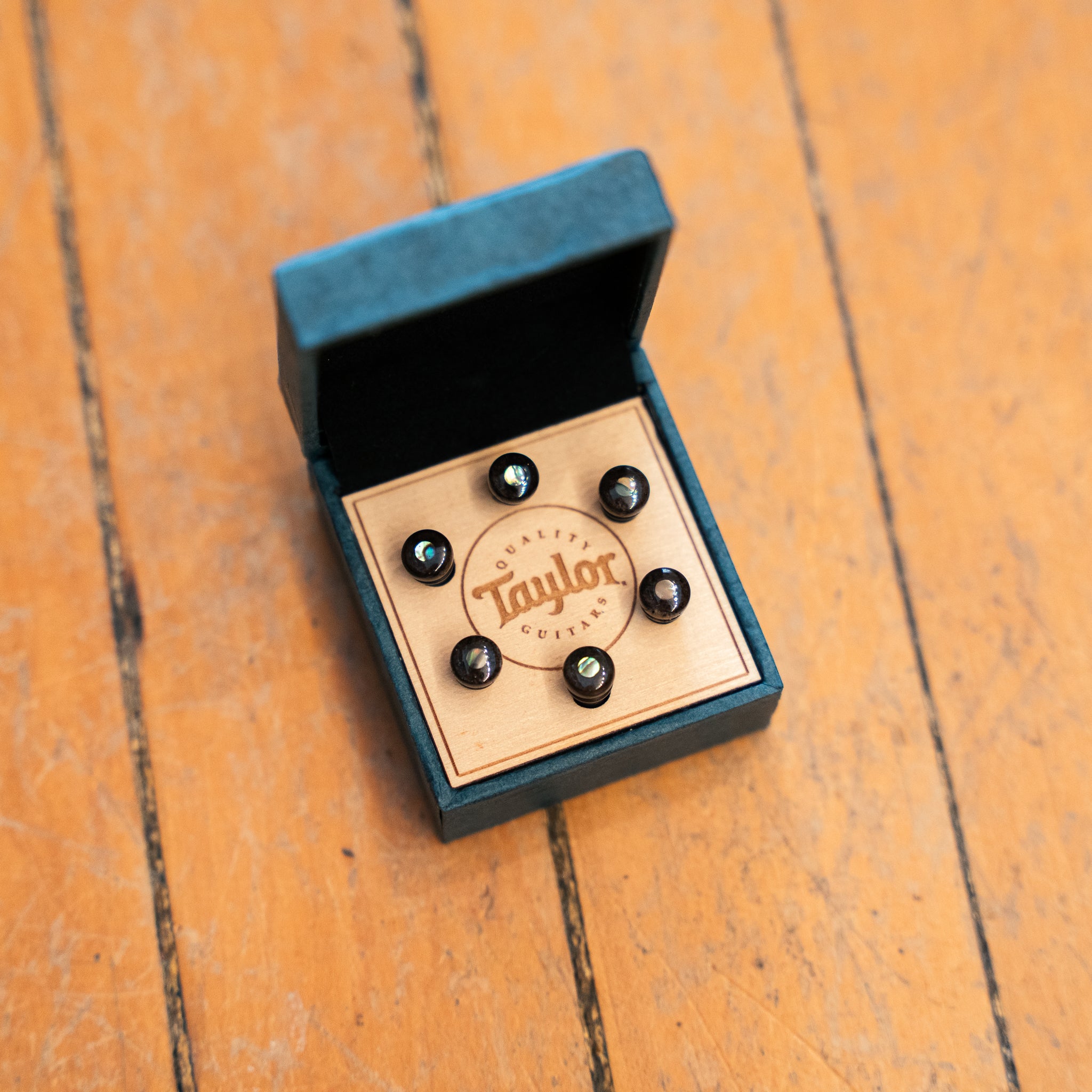 Taylor Bone Bridge Pin Set Brown with Abalone (5" Taper)