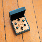Taylor Bone Bridge Pin Set Brown with Turquoise (5" Taper)