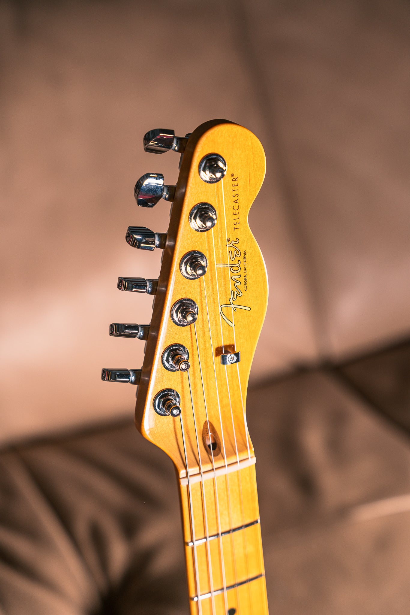 Fender American Professional II Telecaster in Roasted Pine