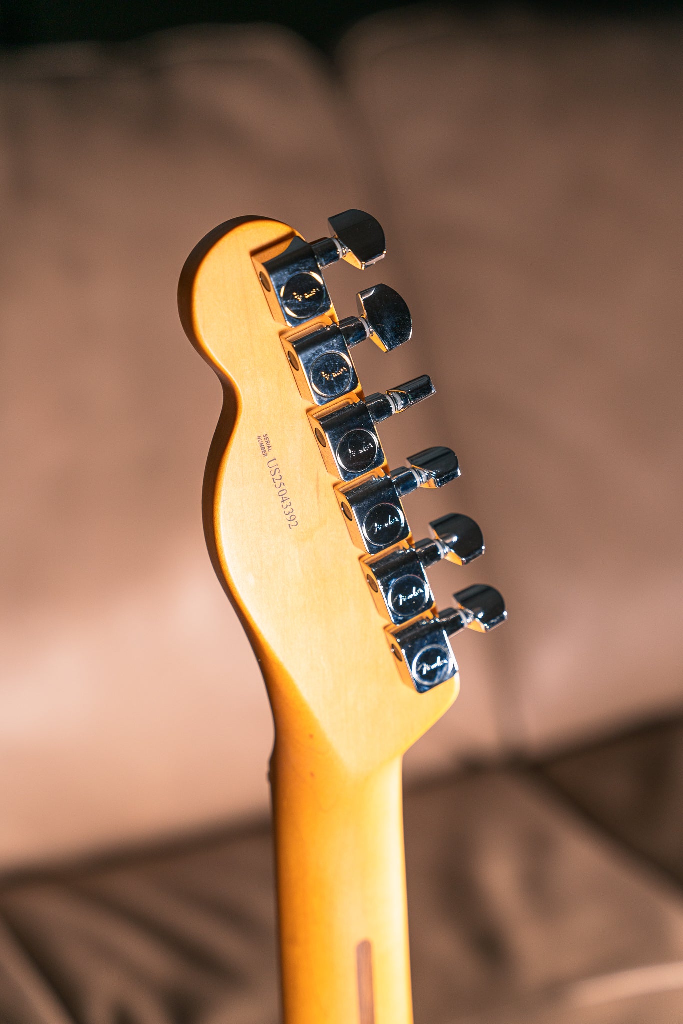 Fender American Professional II Telecaster in Roasted Pine