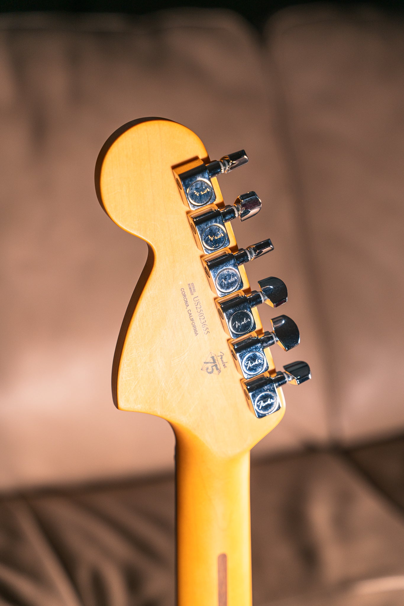 Fender American Professional II Telecaster Deluxe in Dark Night