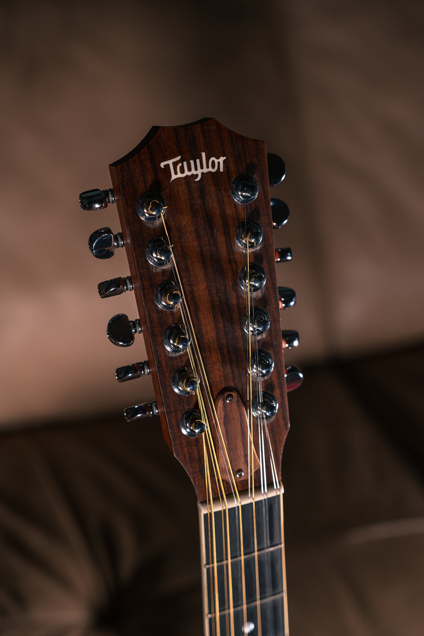 Taylor 455ce, Pre-Owned