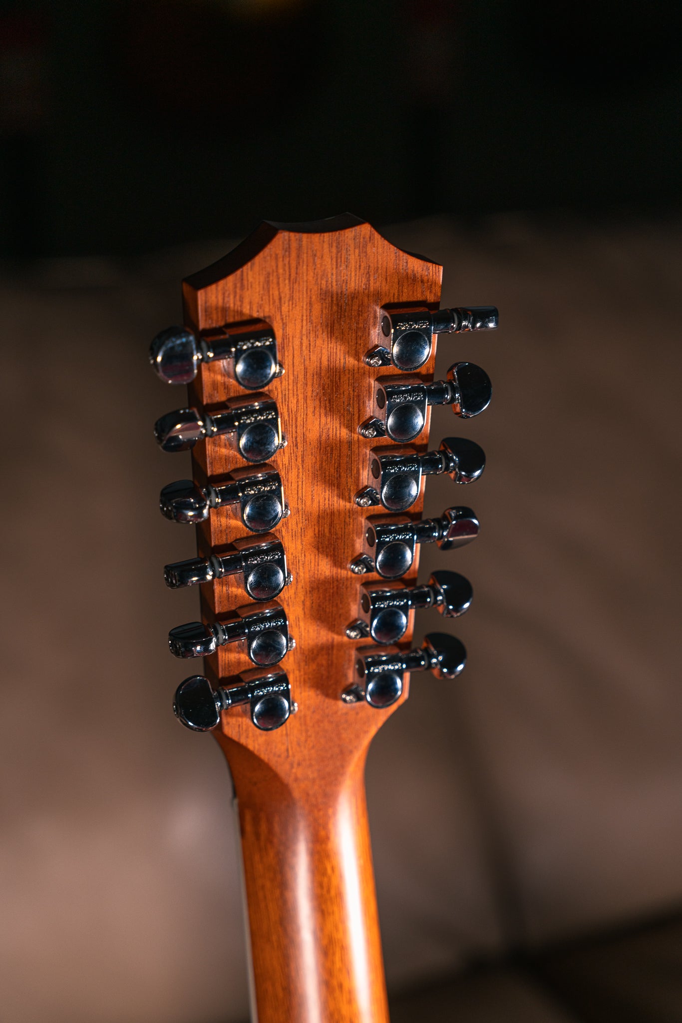 Taylor 455ce, Pre-Owned