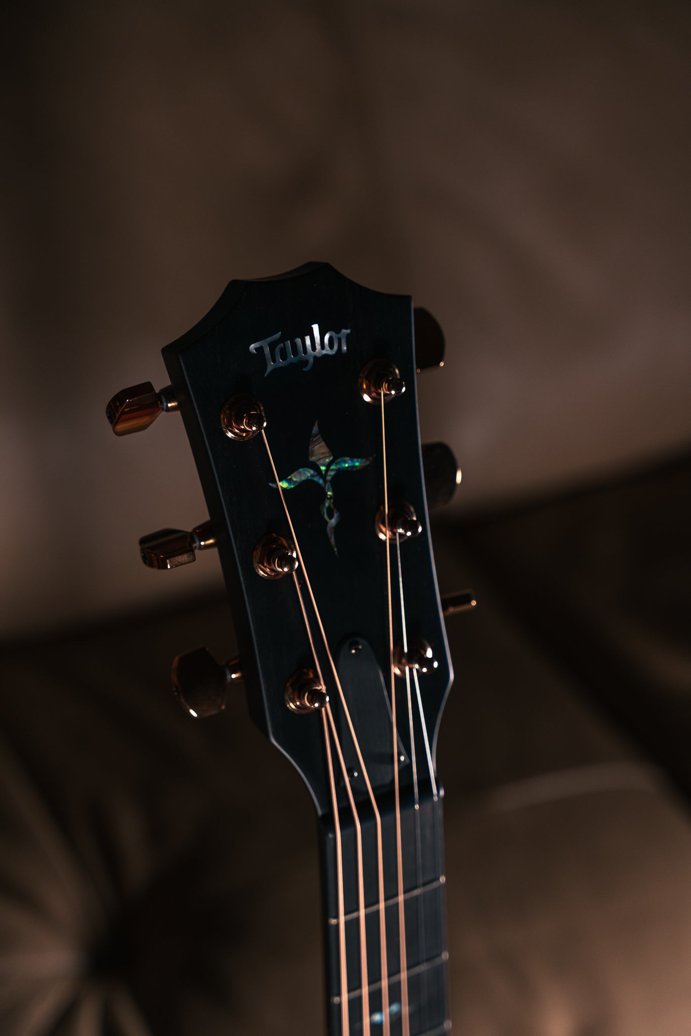 Taylor Next Generation K24ce Special Edition
