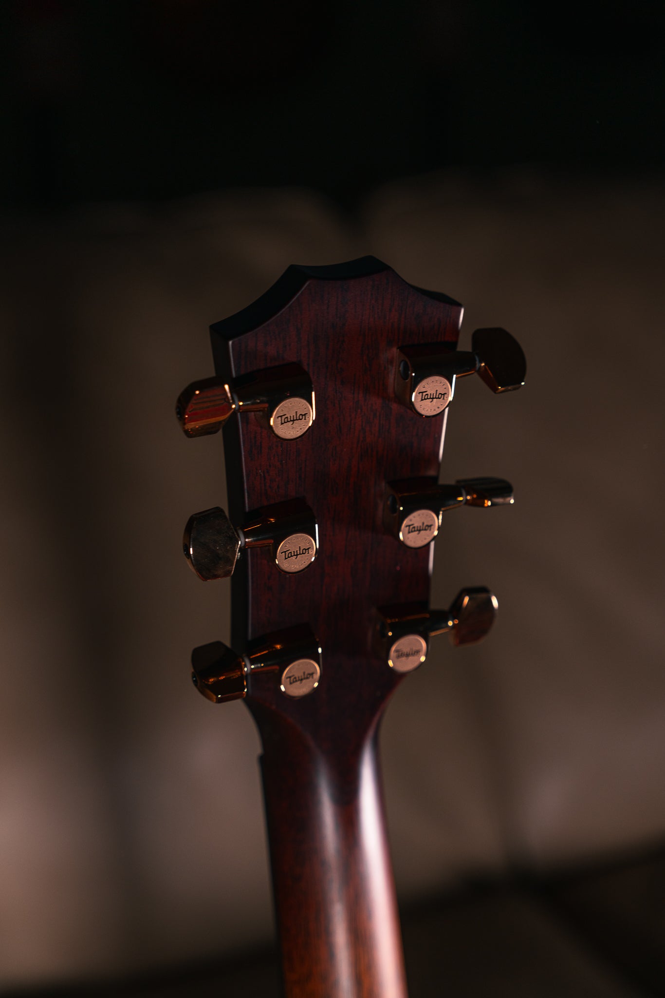 Taylor Next Generation K24ce Special Edition