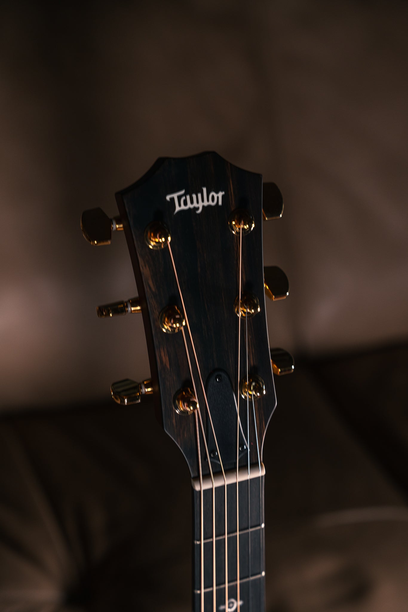 Taylor 214ce-K DLX Special Edition in Honeyburst