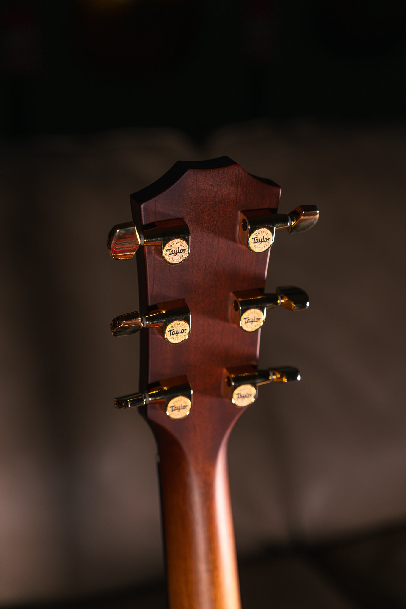 Taylor 214ce-K DLX Special Edition in Honeyburst