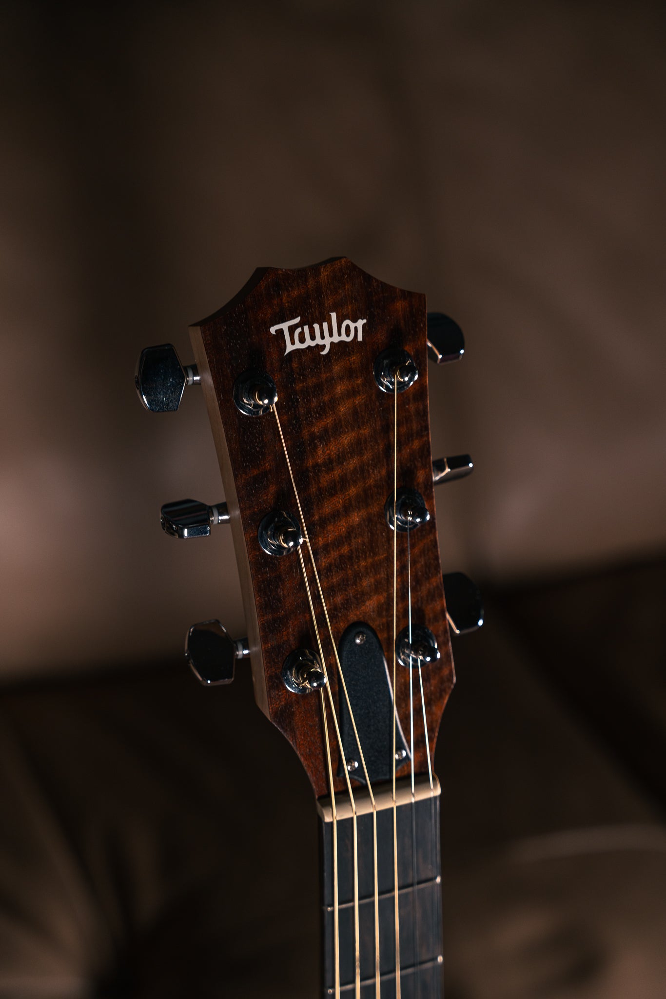 Taylor Academy 10, Pre-Owned