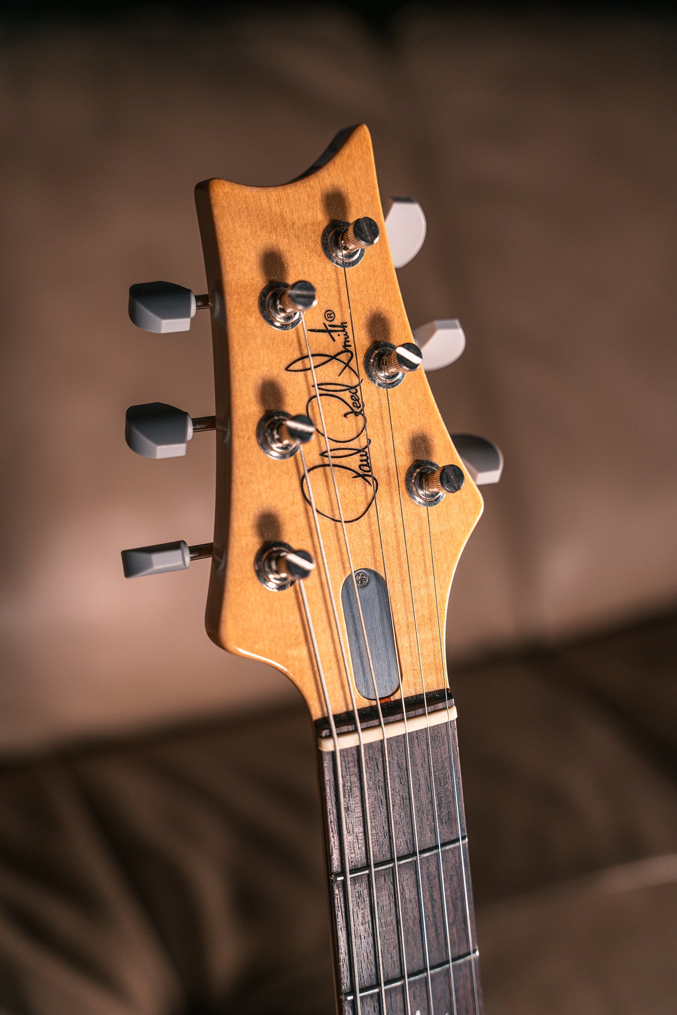 PRS - 2019 - Silver Sky in Tungsten